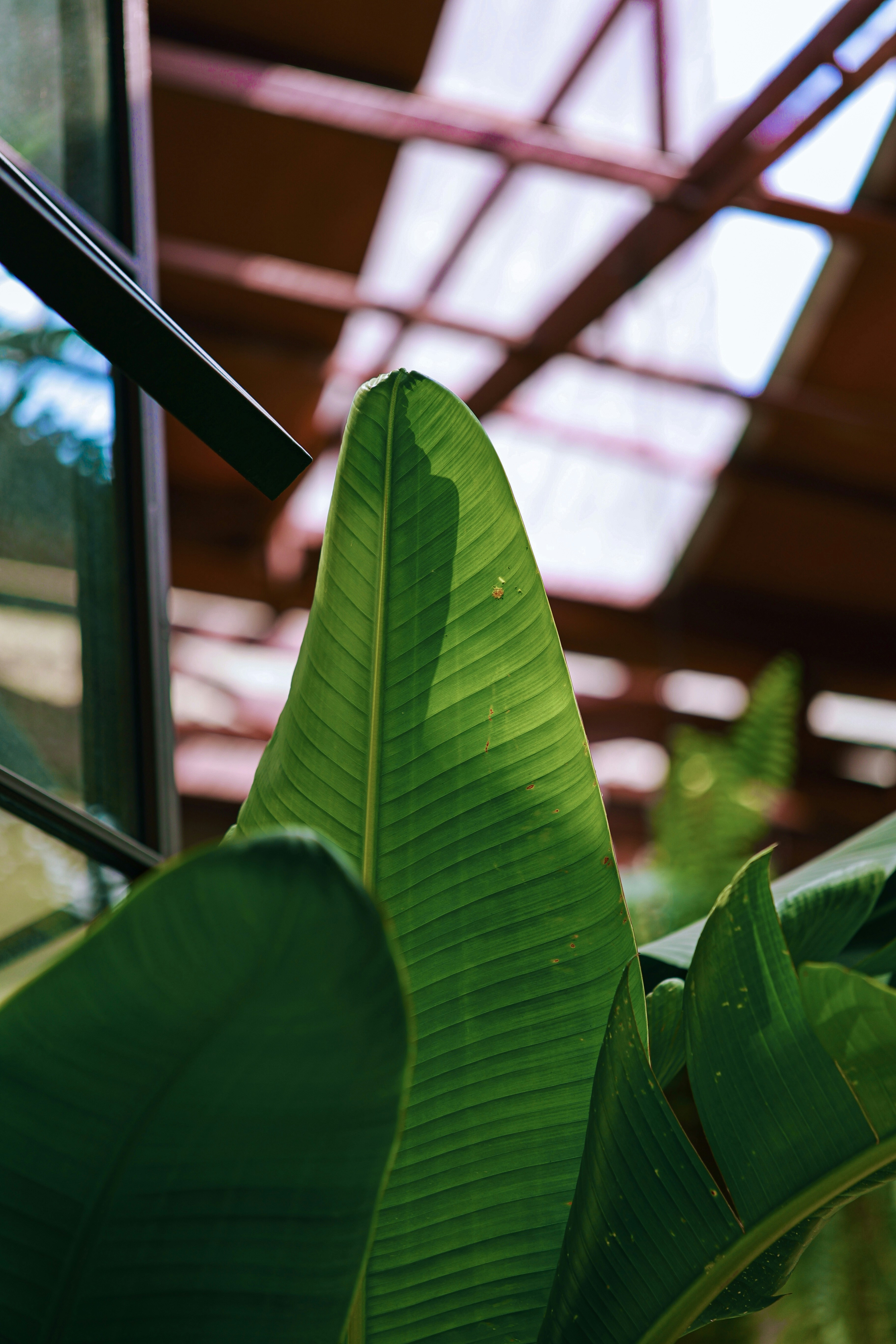 Photo by hieuanhcauam