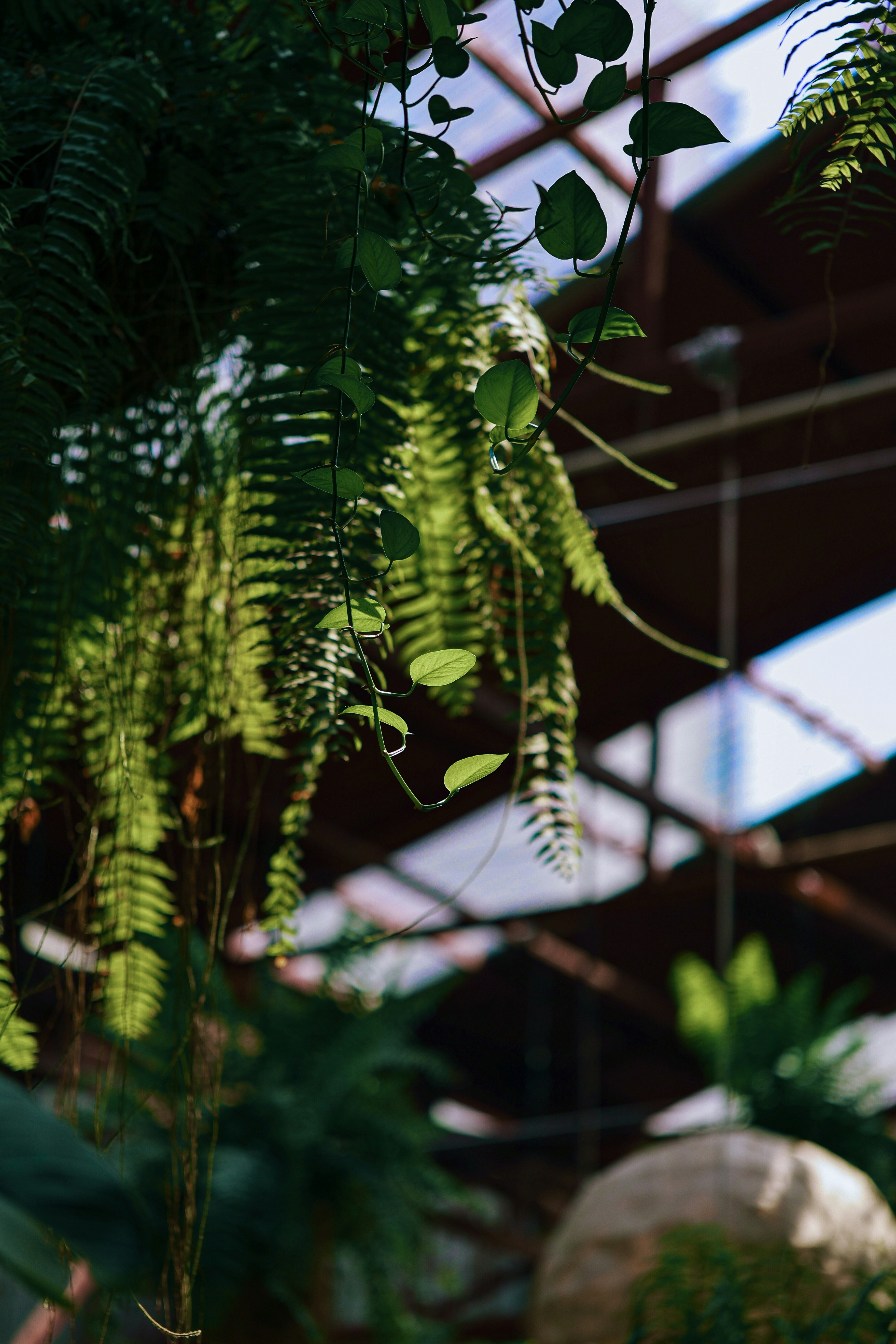 Photo by hieuanhcauam