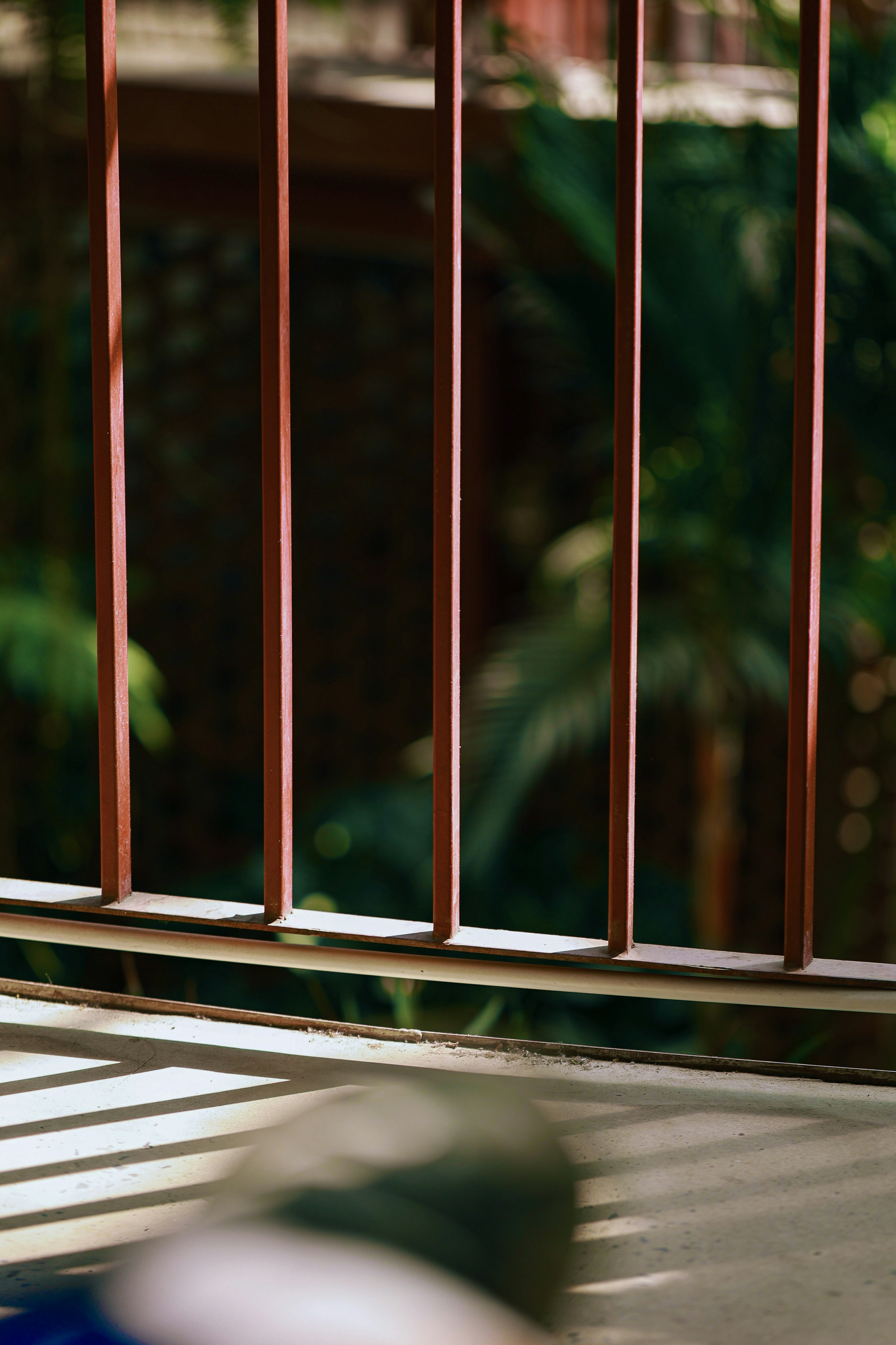 Photo by hieuanhcauam