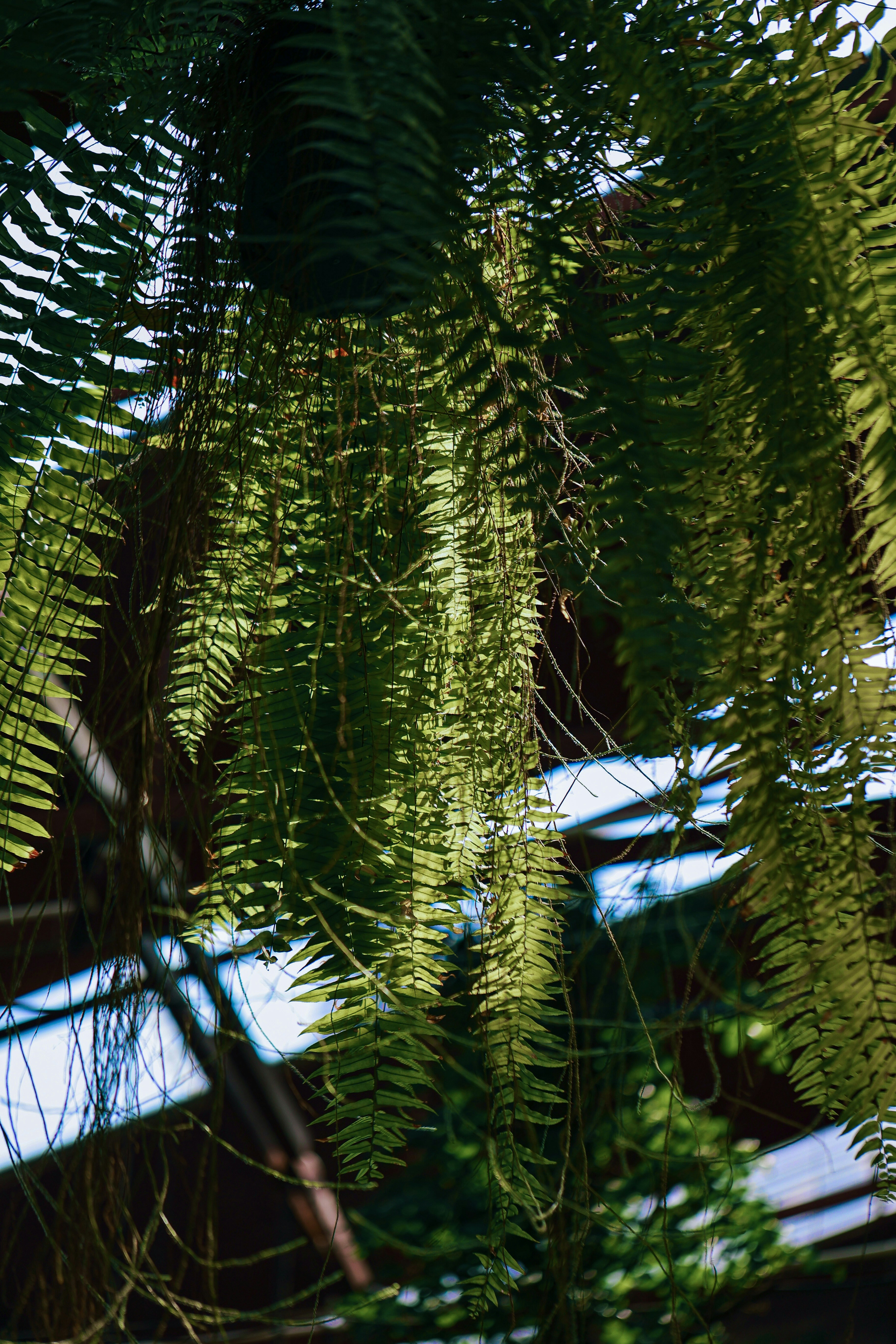 Photo by hieuanhcauam