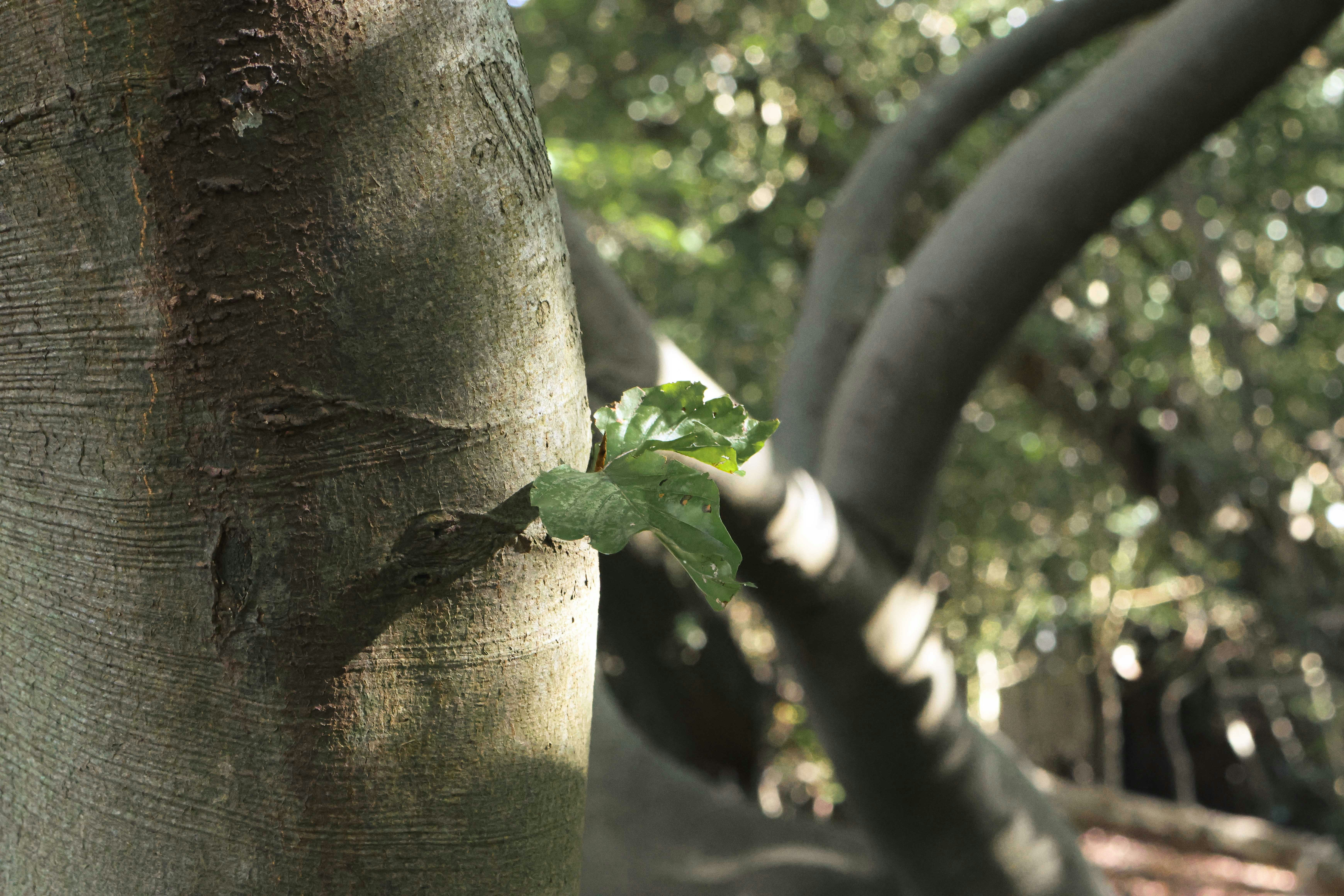 Photo by jameslgorringe