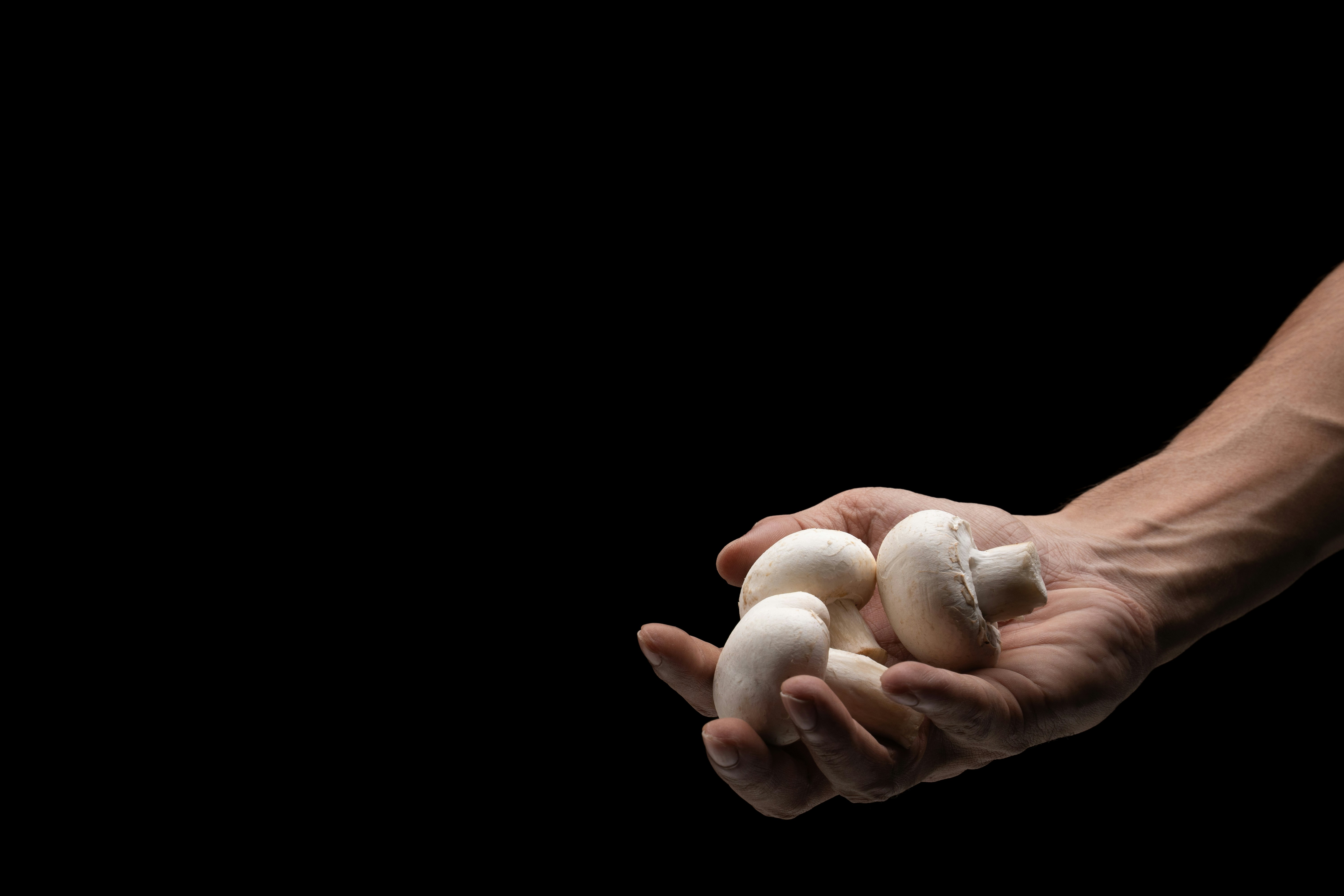 Person holding eggs in hands