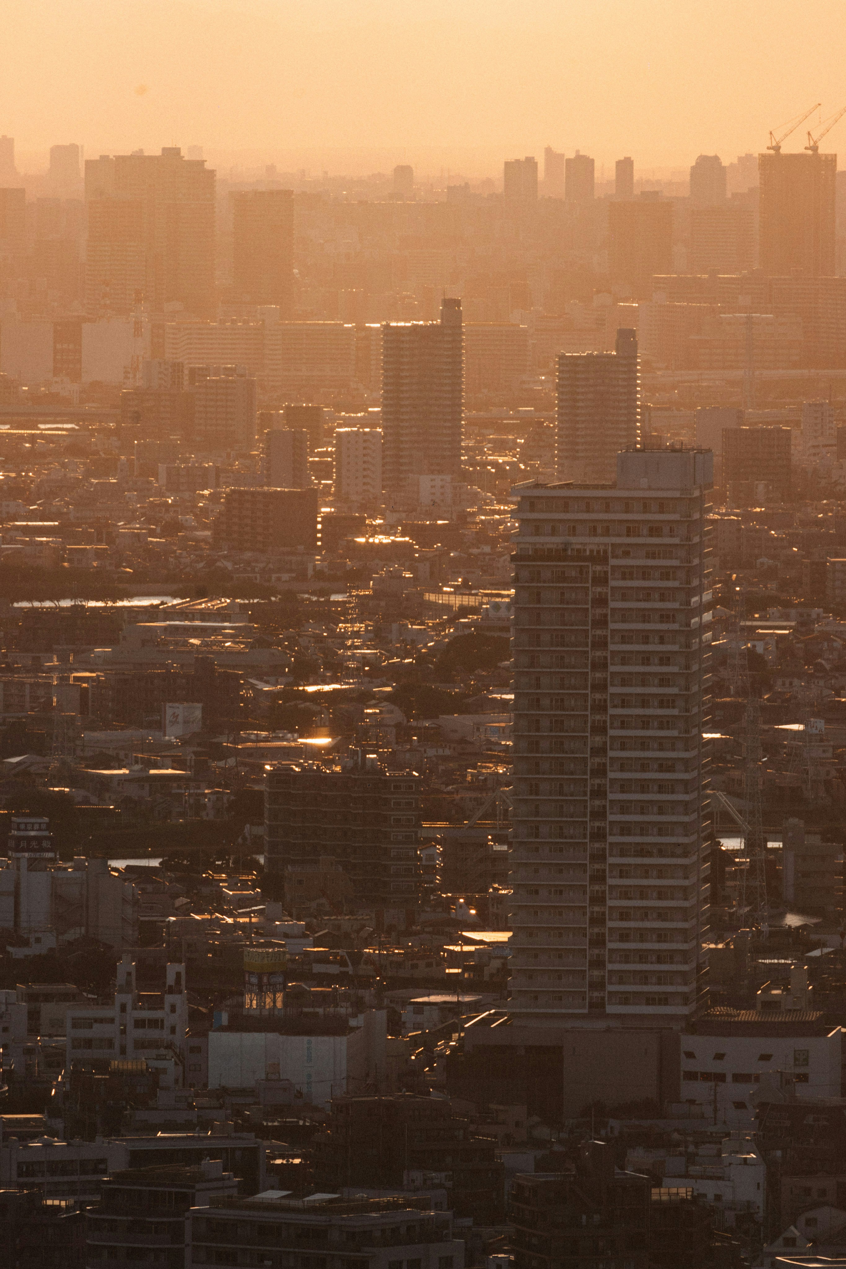 Photo by tsuyoshikozu