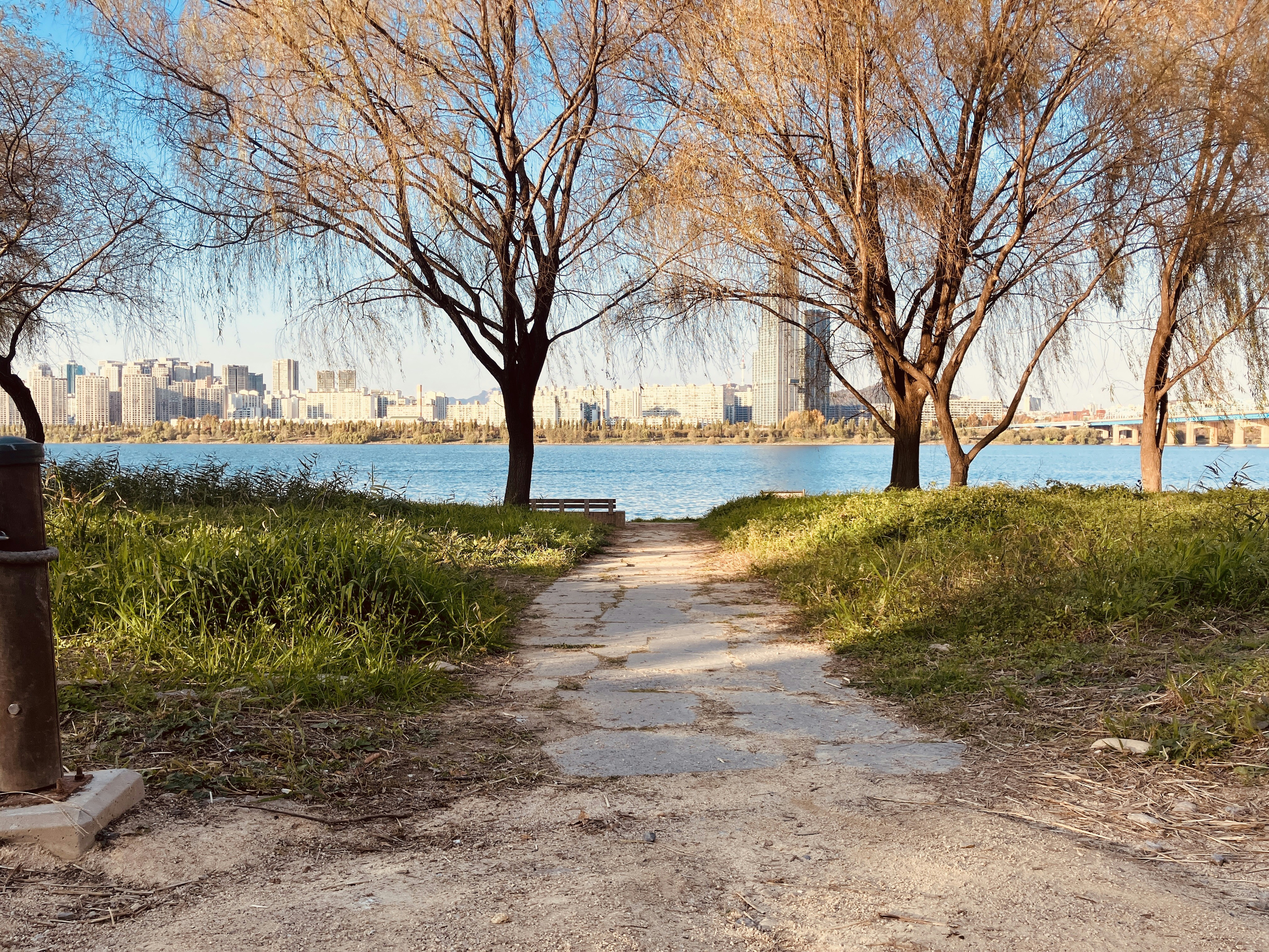 A dirt path with trees and a body of water in the background