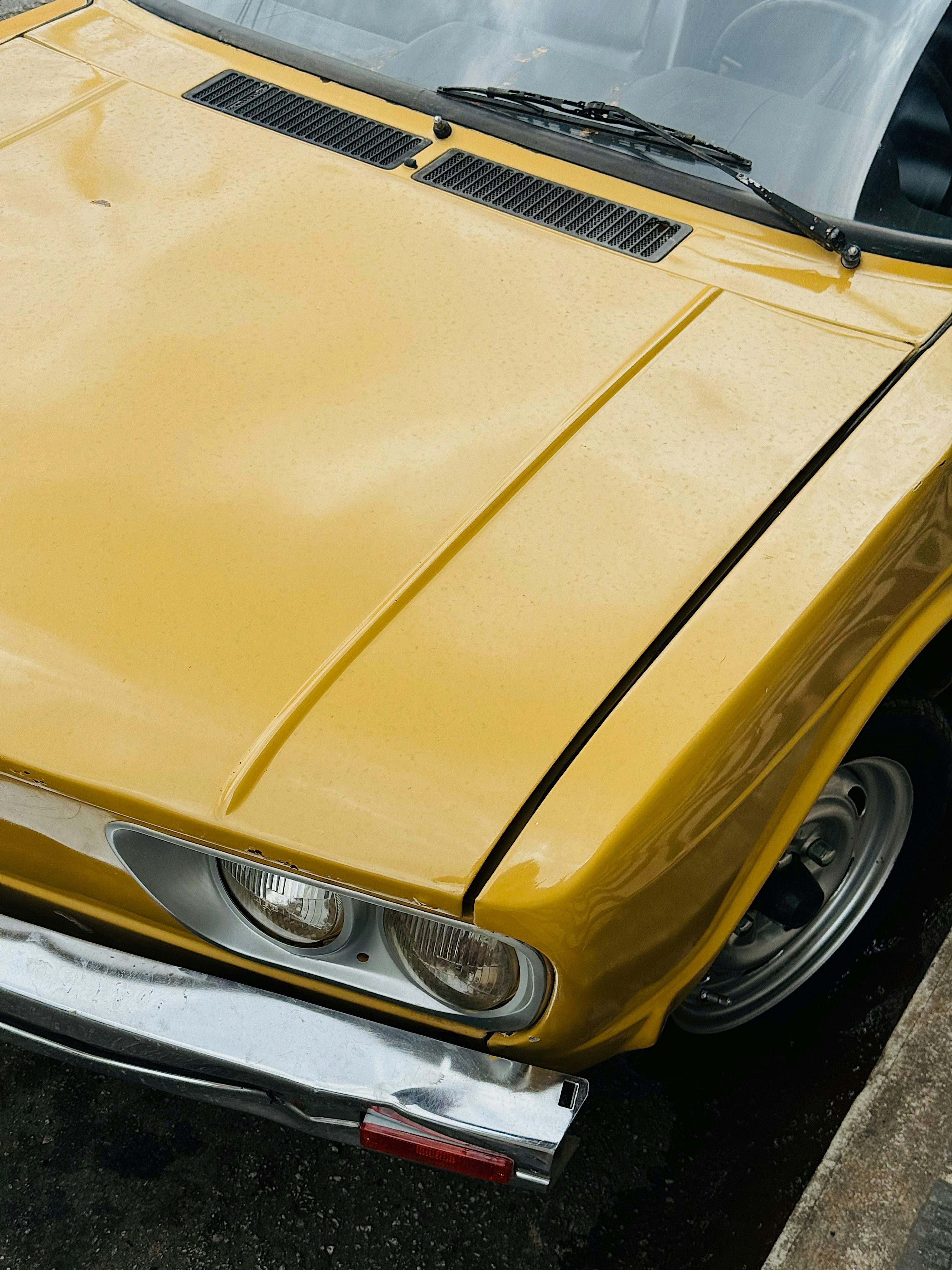 Photo by diasincriveisvirao