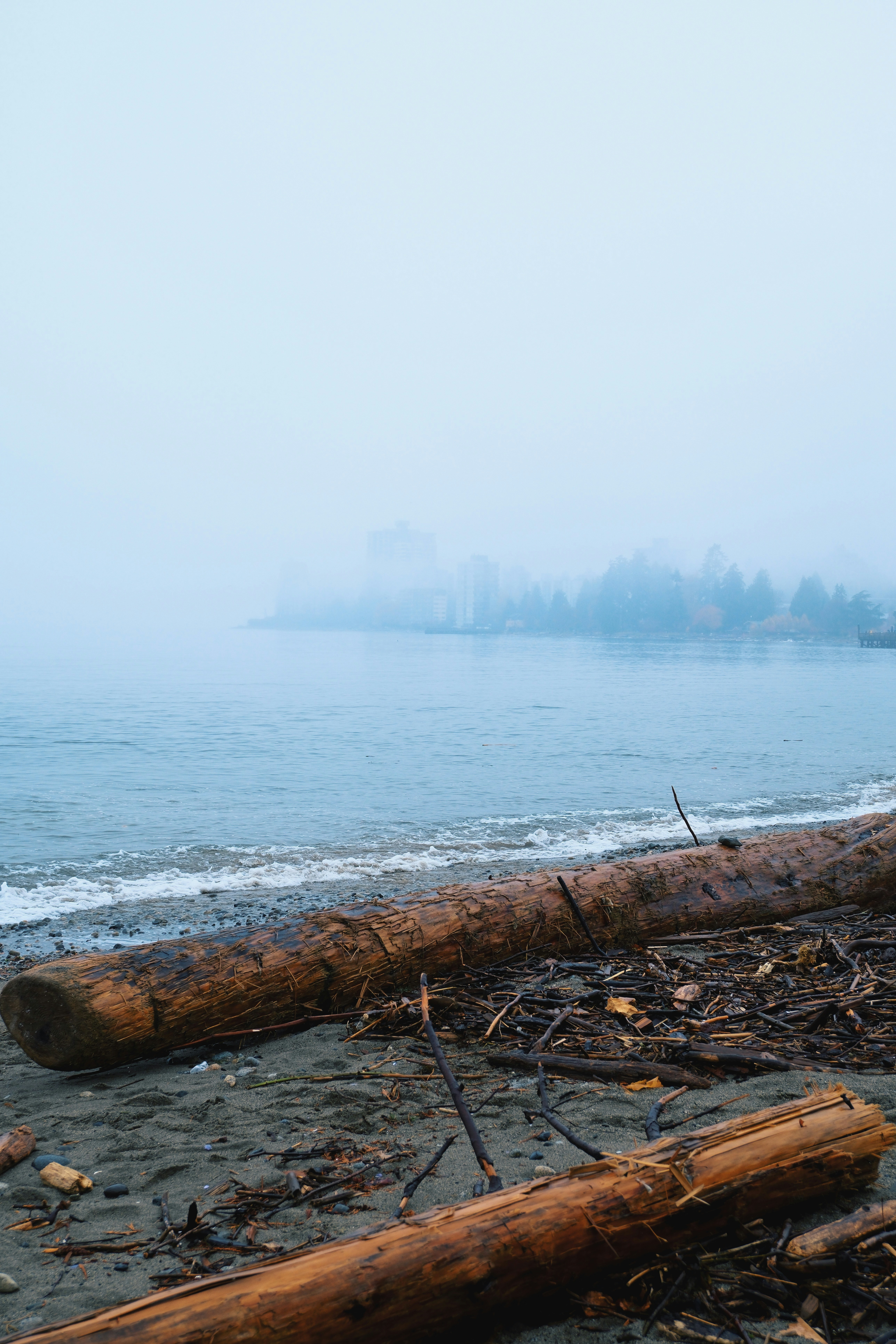 Photo by farnaz________