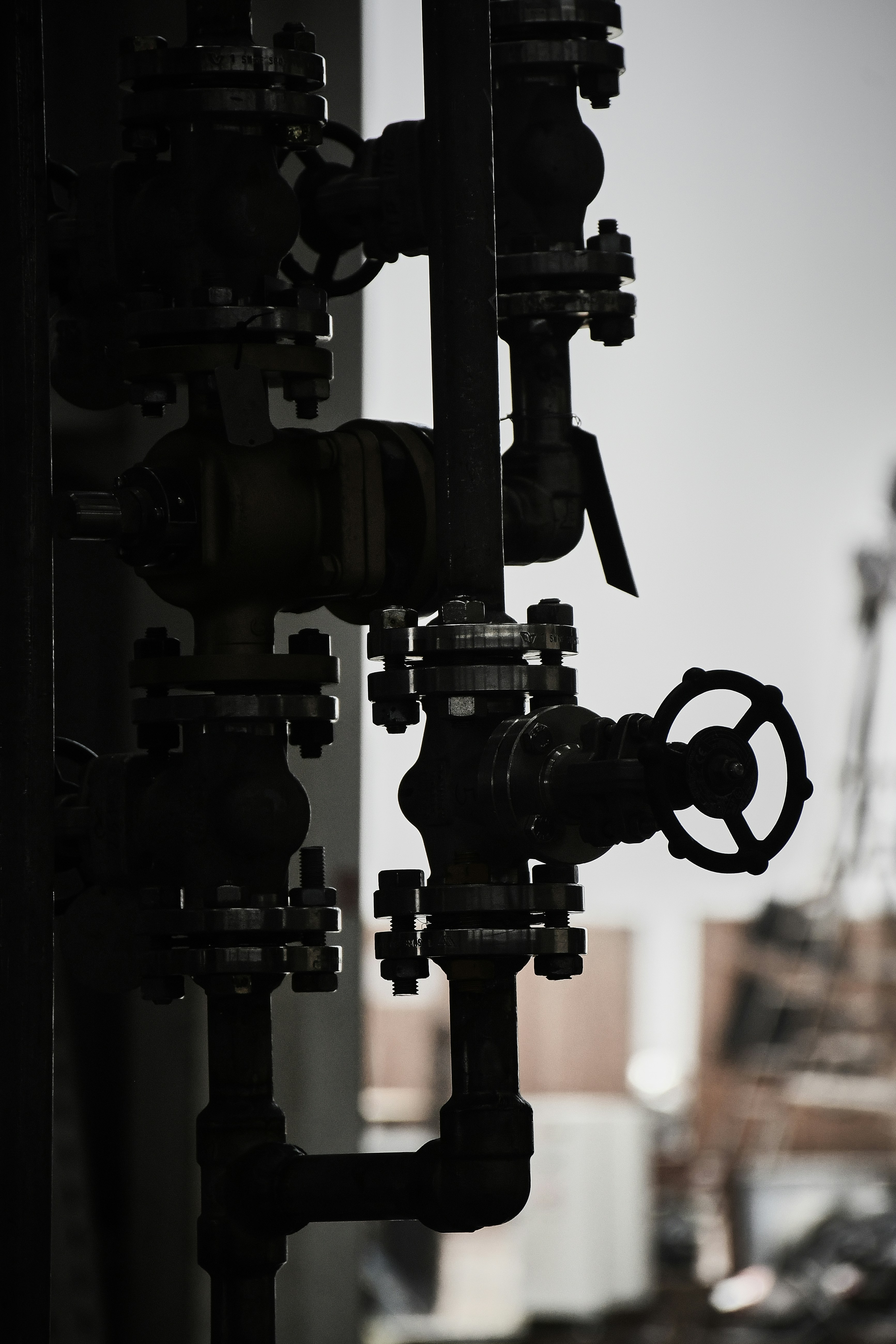 Photo by atieh_khoshraftar