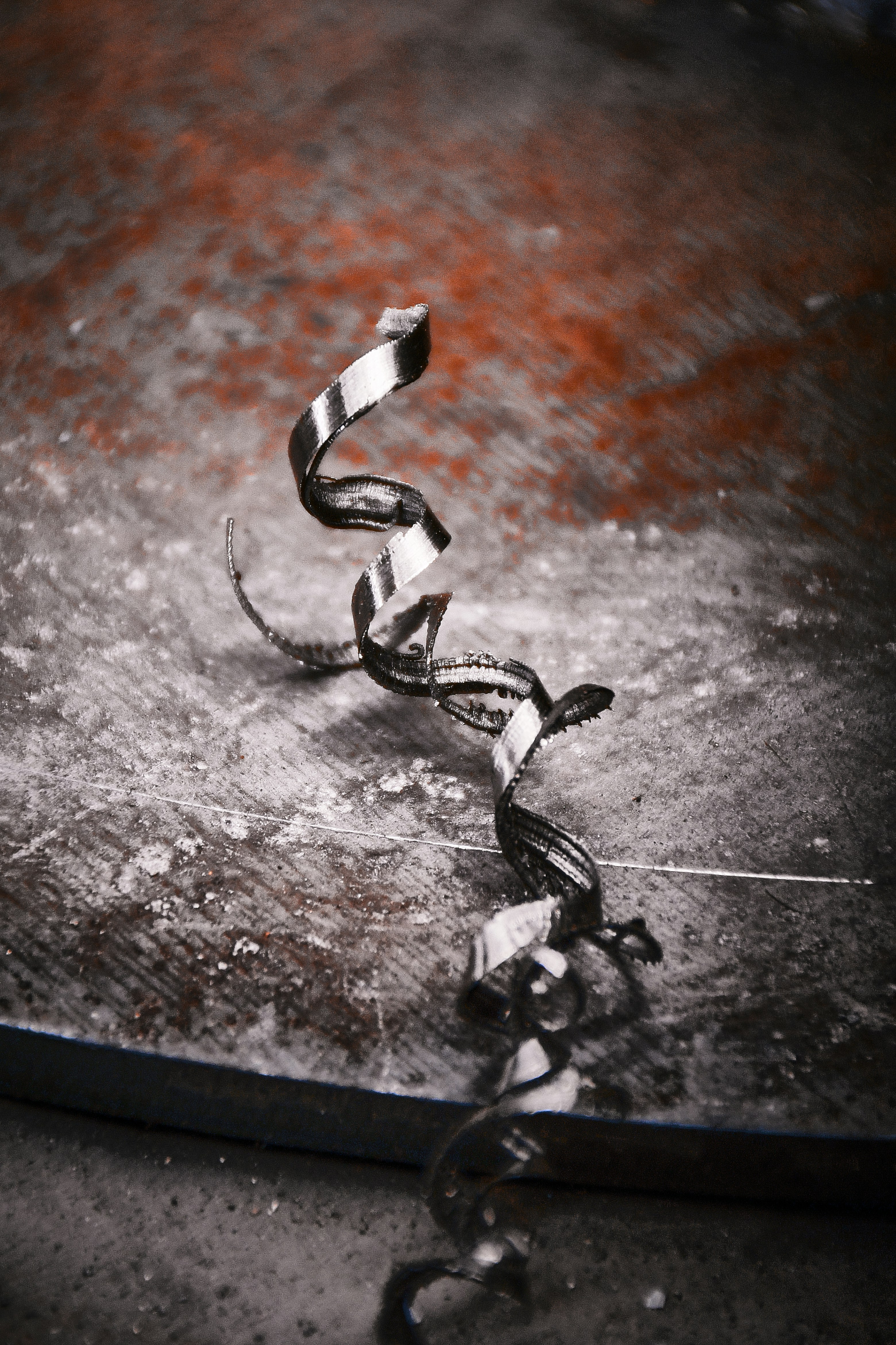 Photo by atieh_khoshraftar