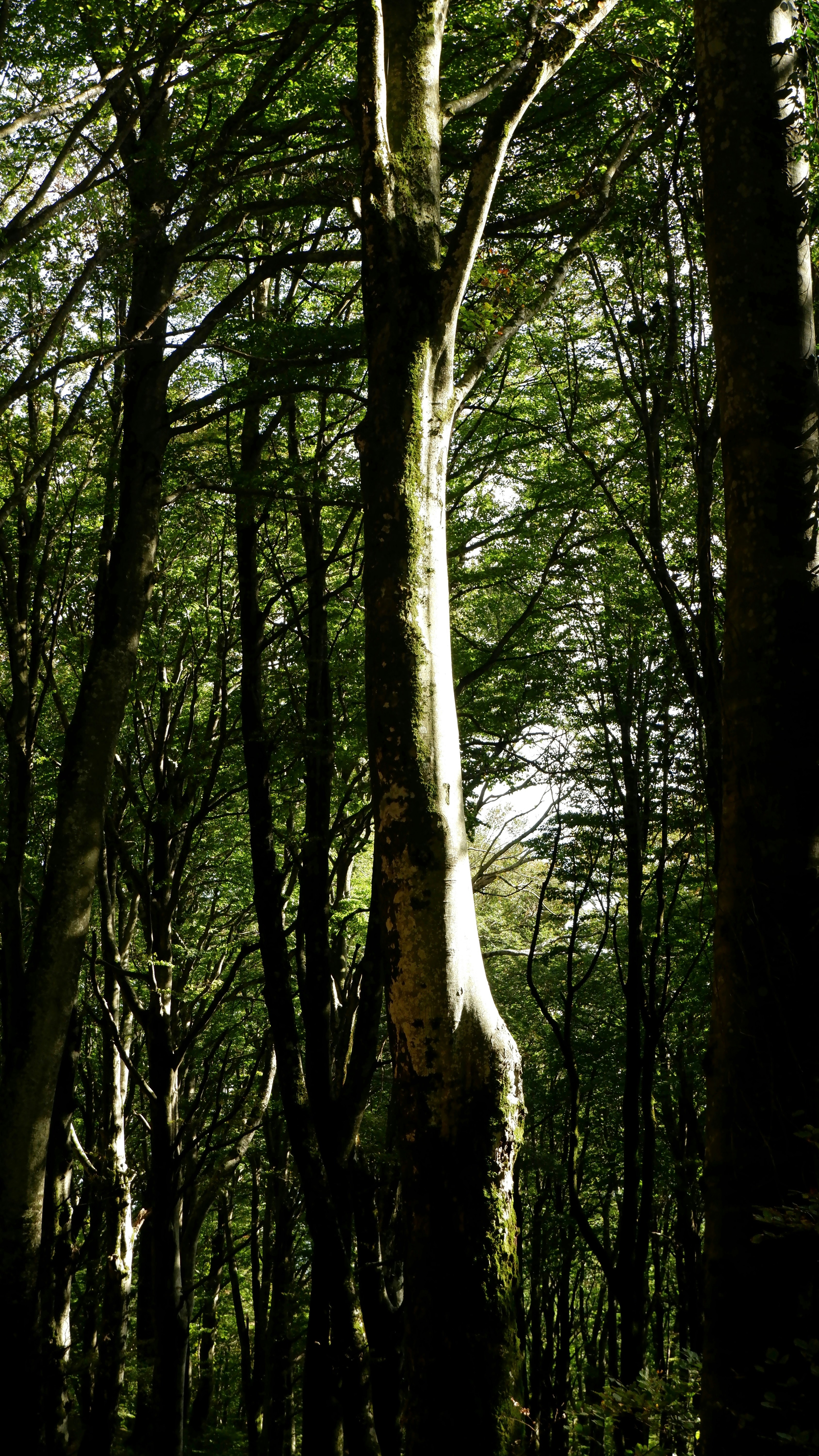 Photo by vmfiocchetto