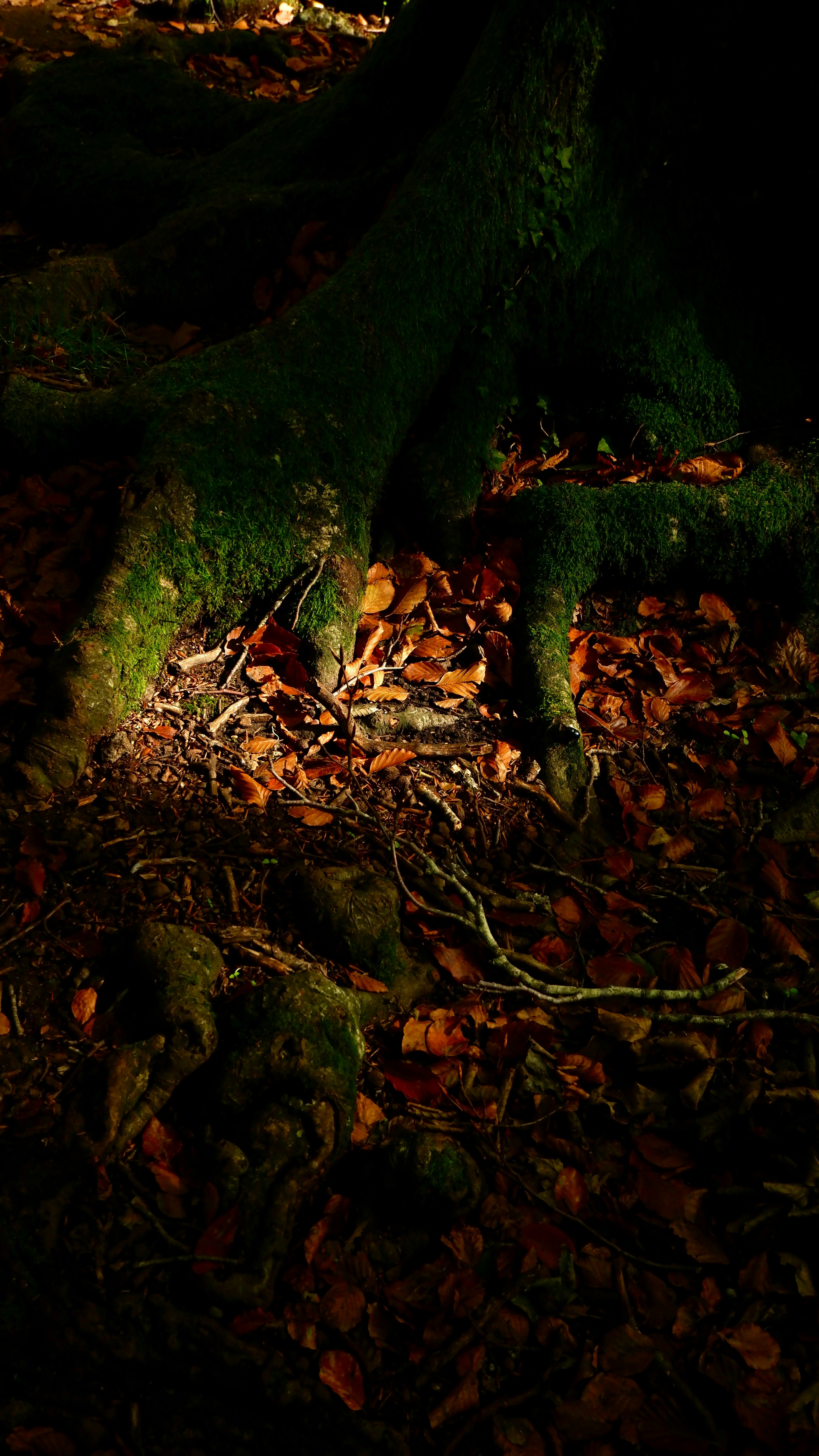 Photo by vmfiocchetto