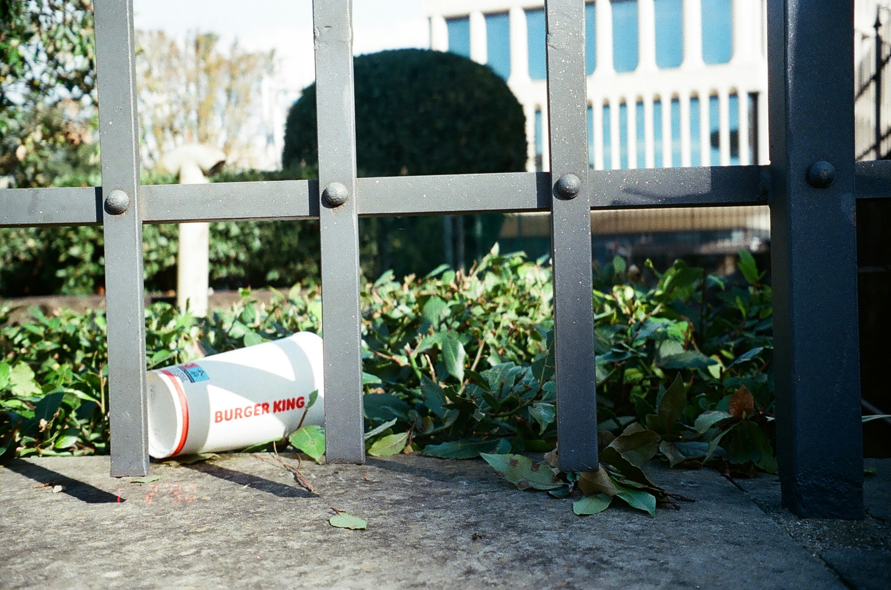 Photo by lorenzosardelli