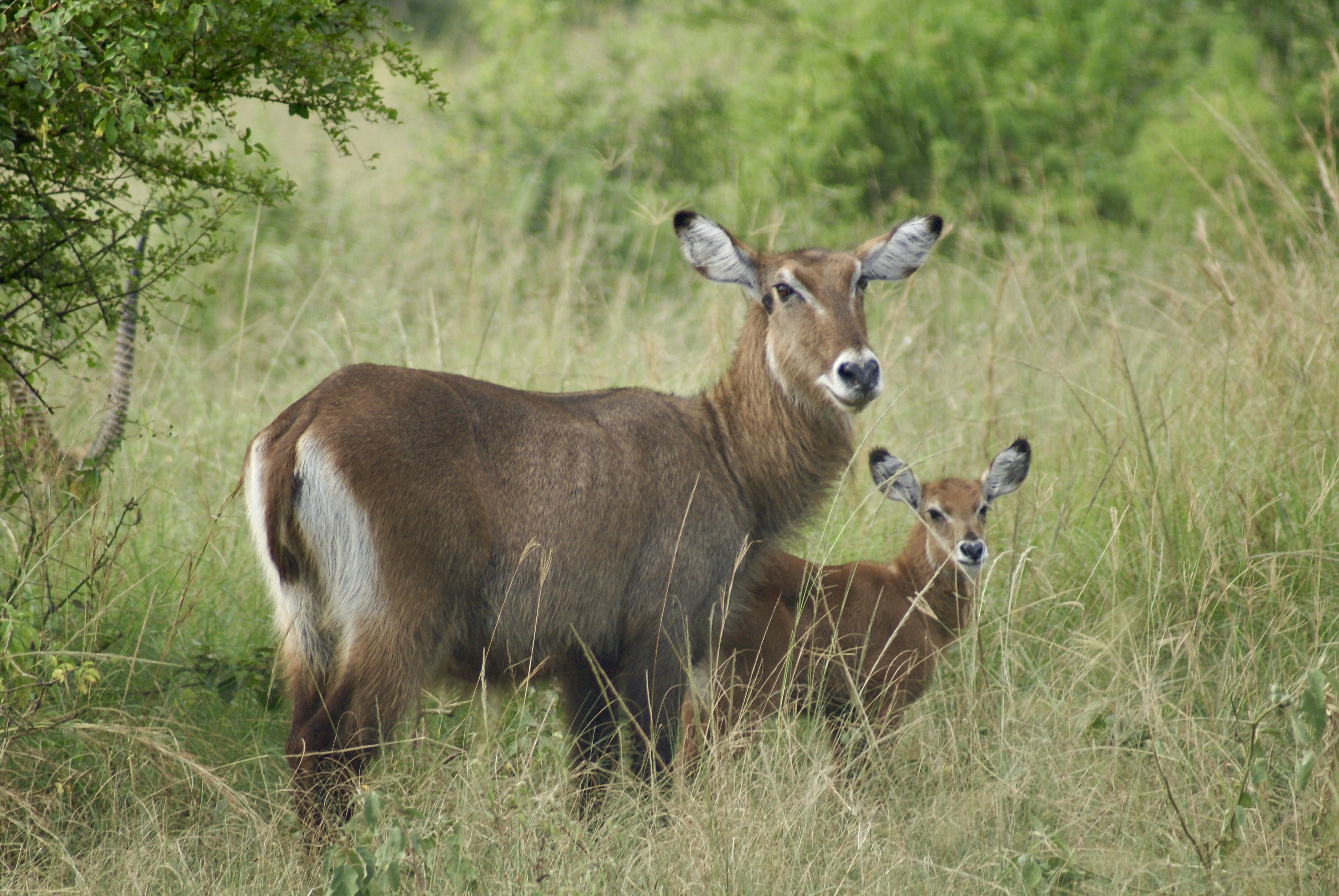 Photo by lisastockton