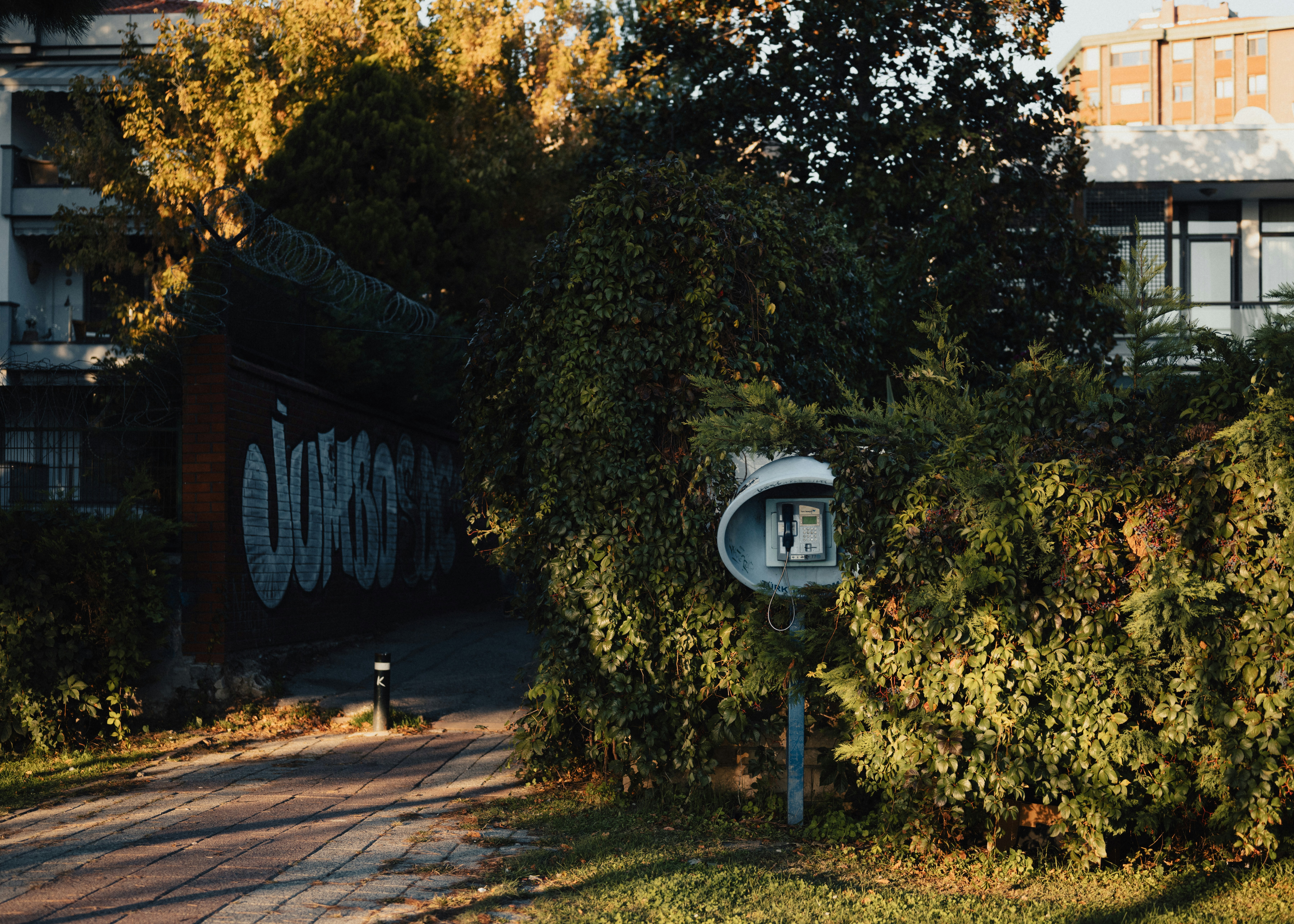 Señal de calle junto a vegetación