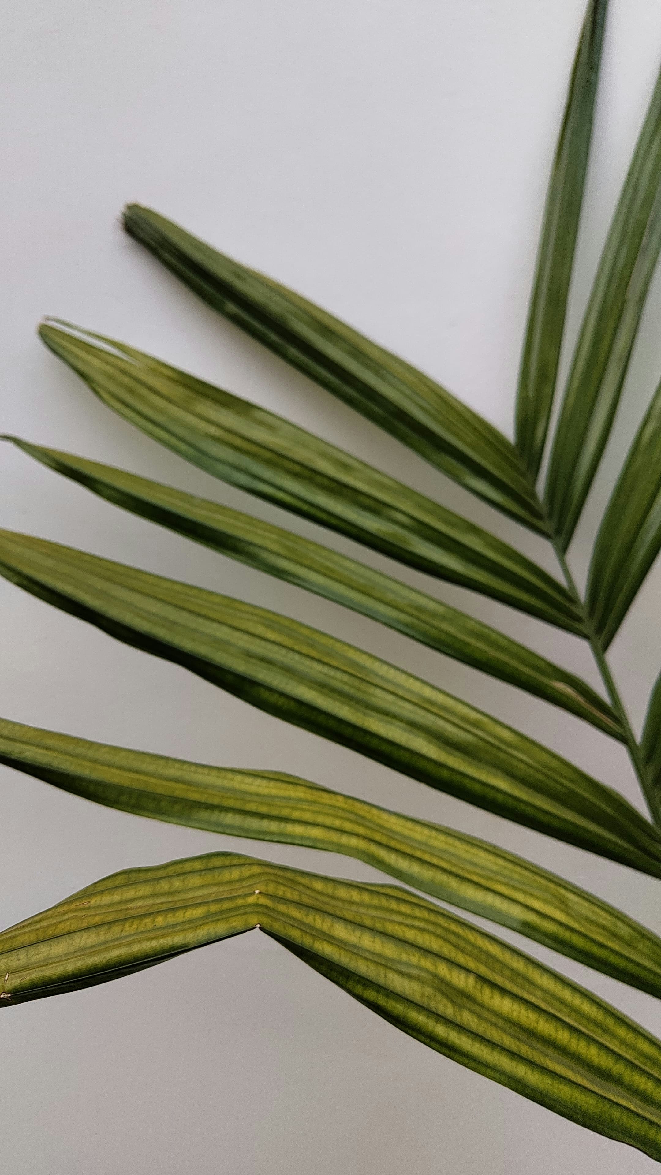 Photo by pixelated_dream