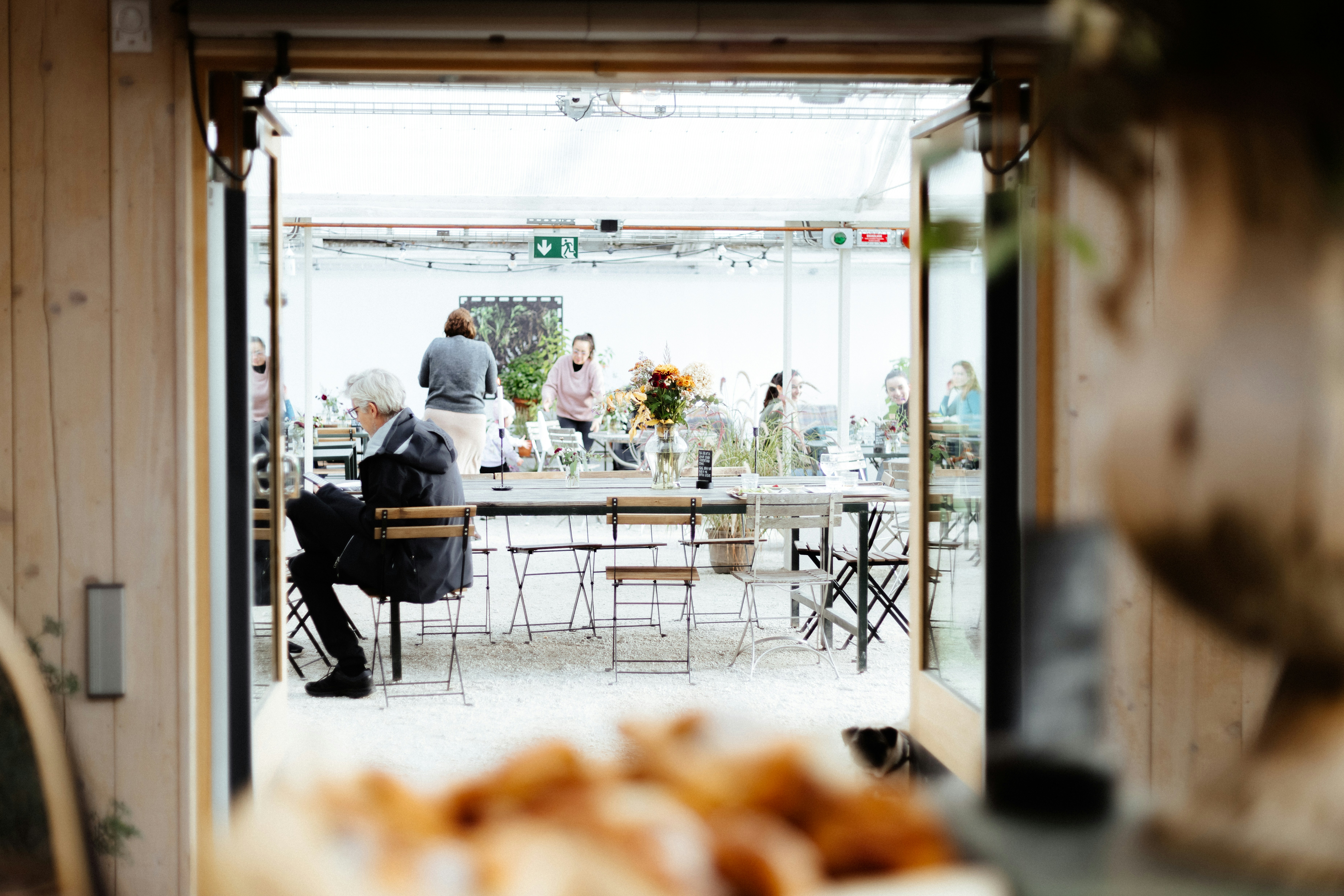 Brunnsvikens Trädgård & Café