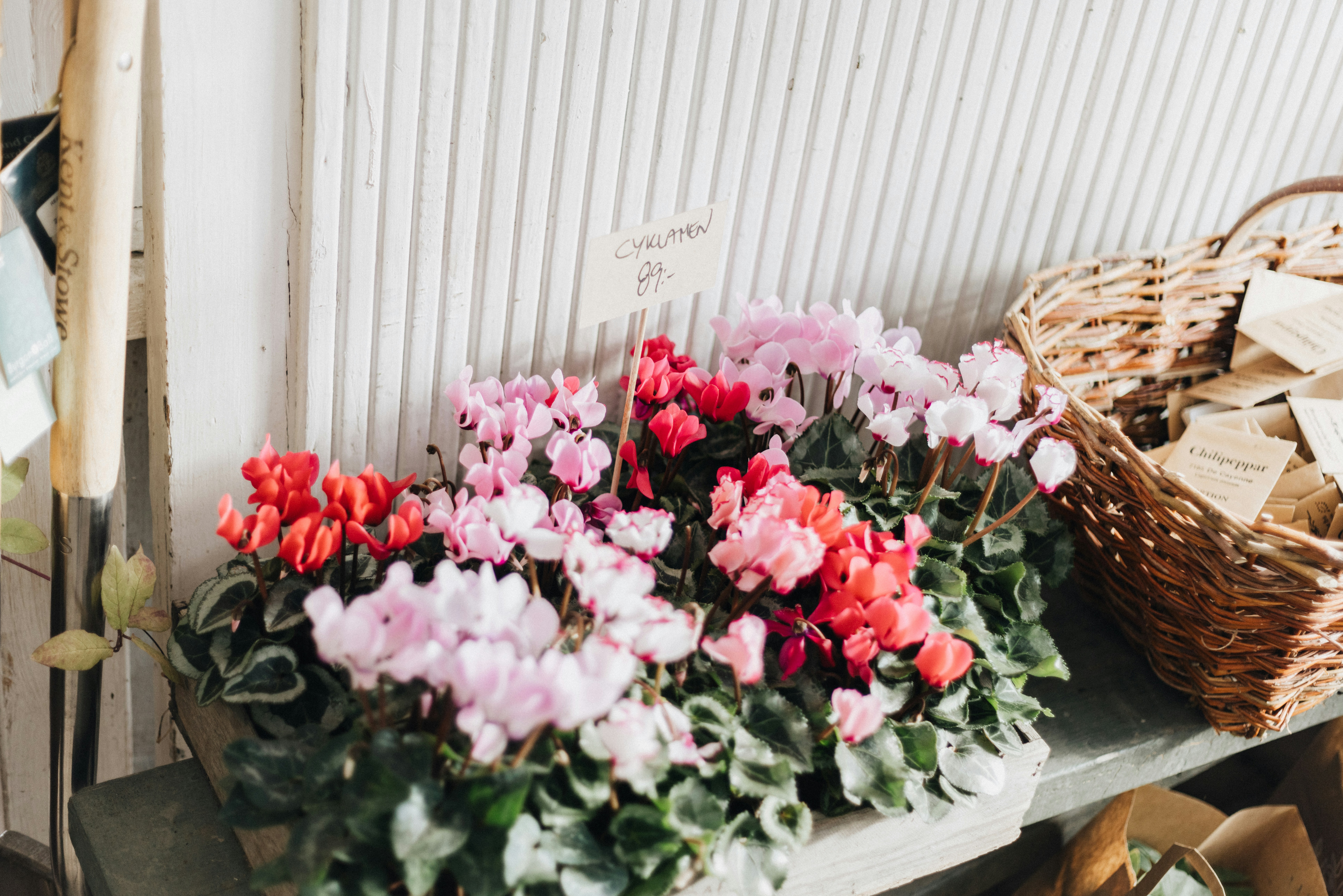 Photo by anniespratt