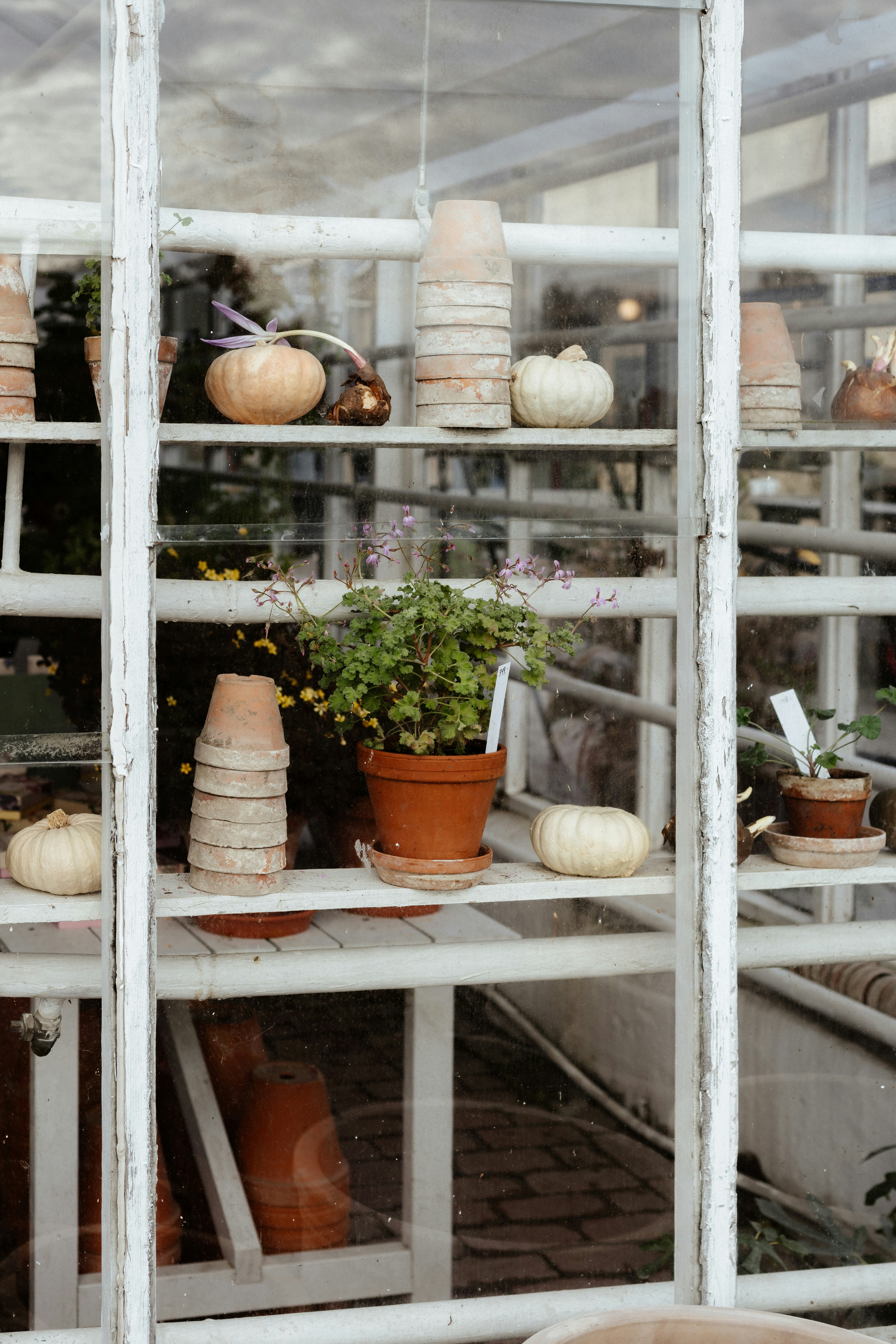 Photo by anniespratt