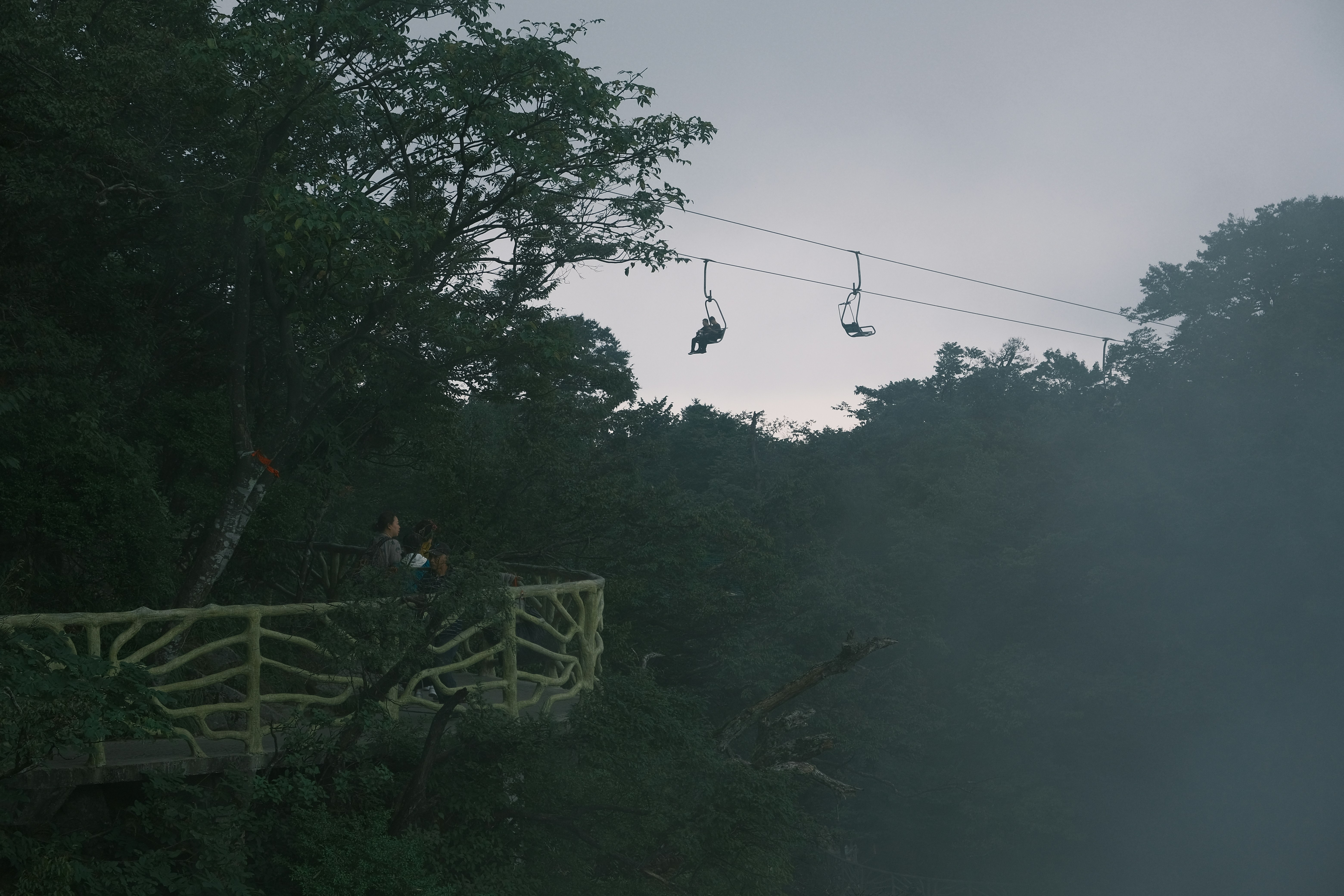 Zip-line Over Dunn's River