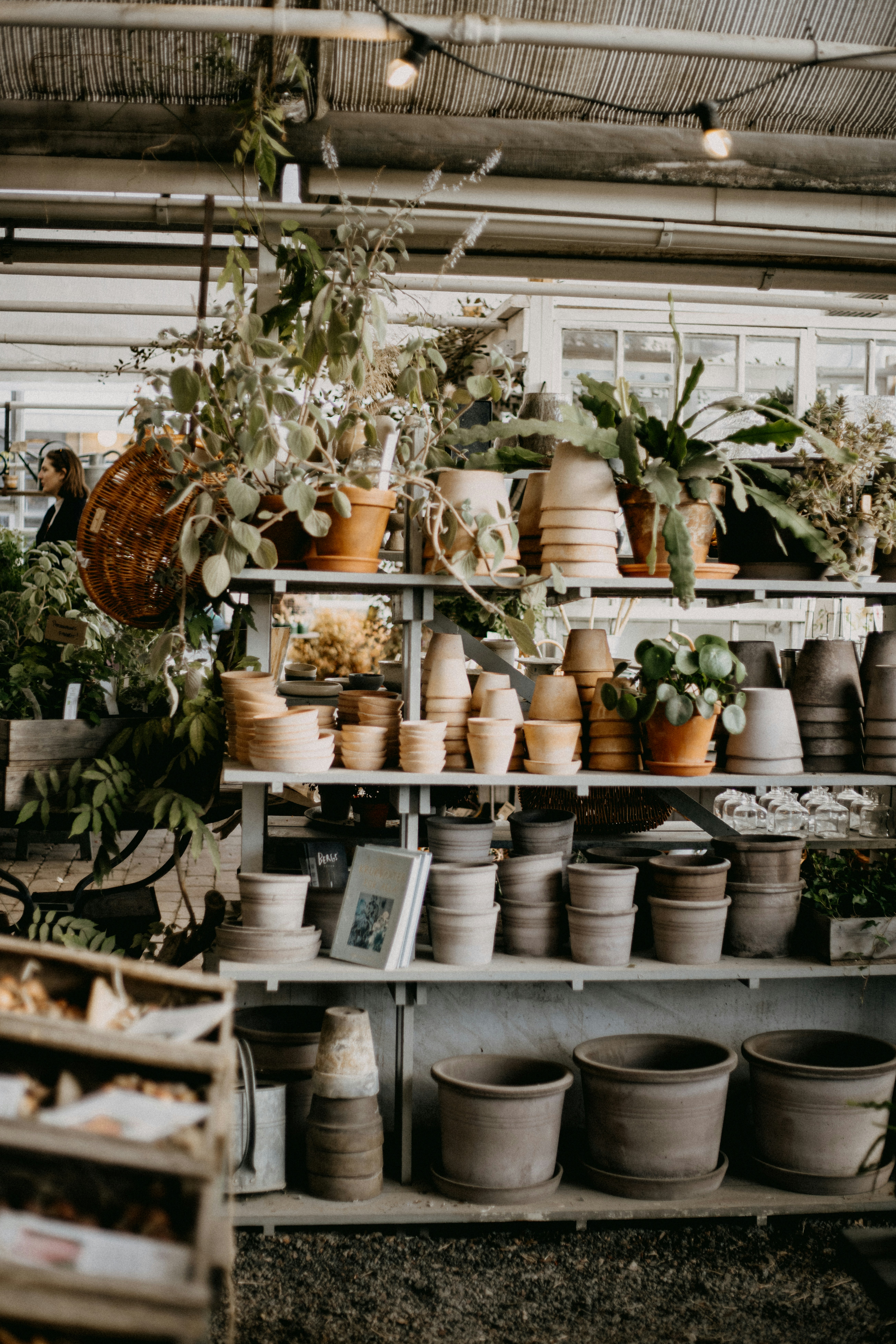 Ein Raum voller Topfpflanzen