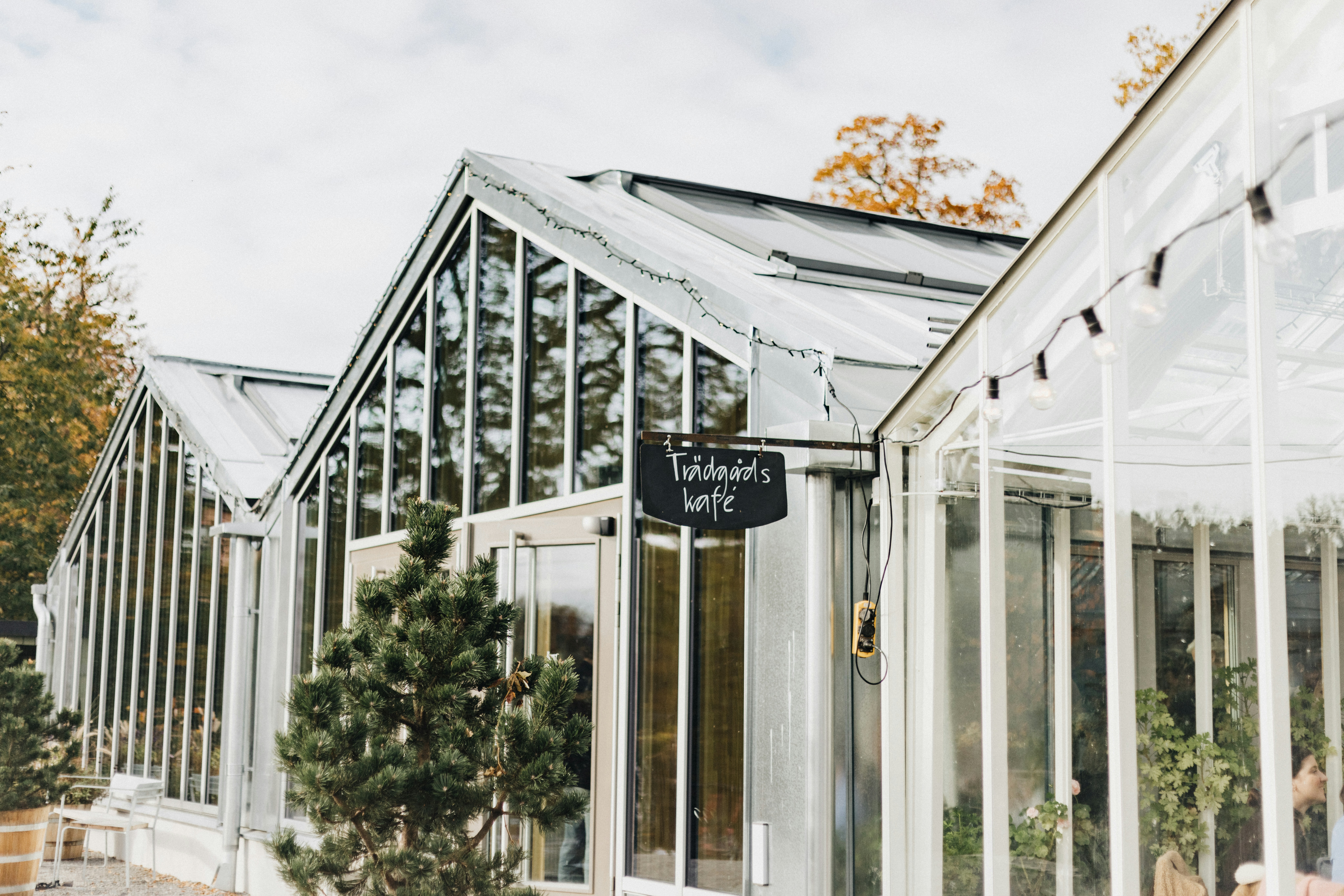 Photo by anniespratt