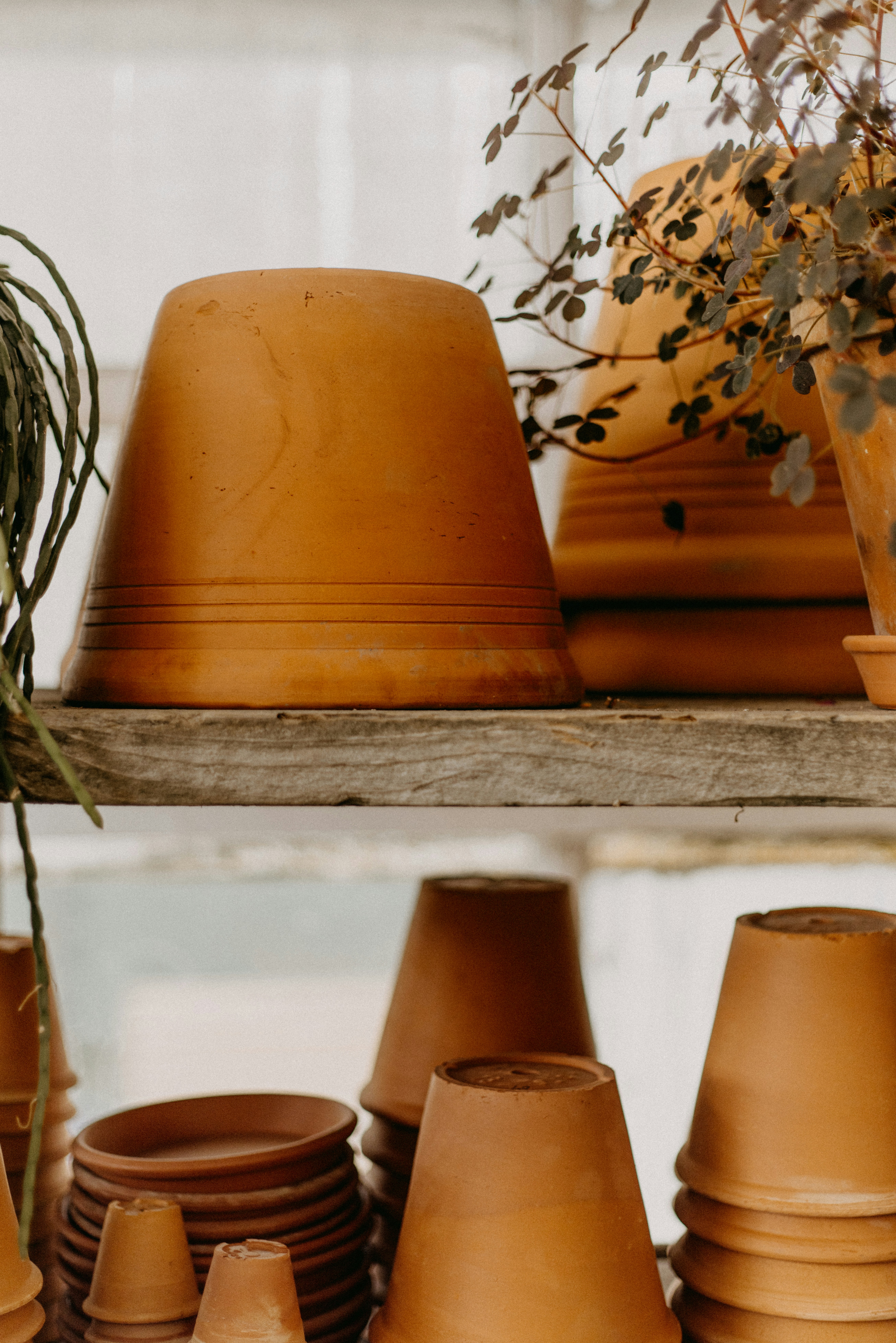 A shelf filled with lots of brown vases