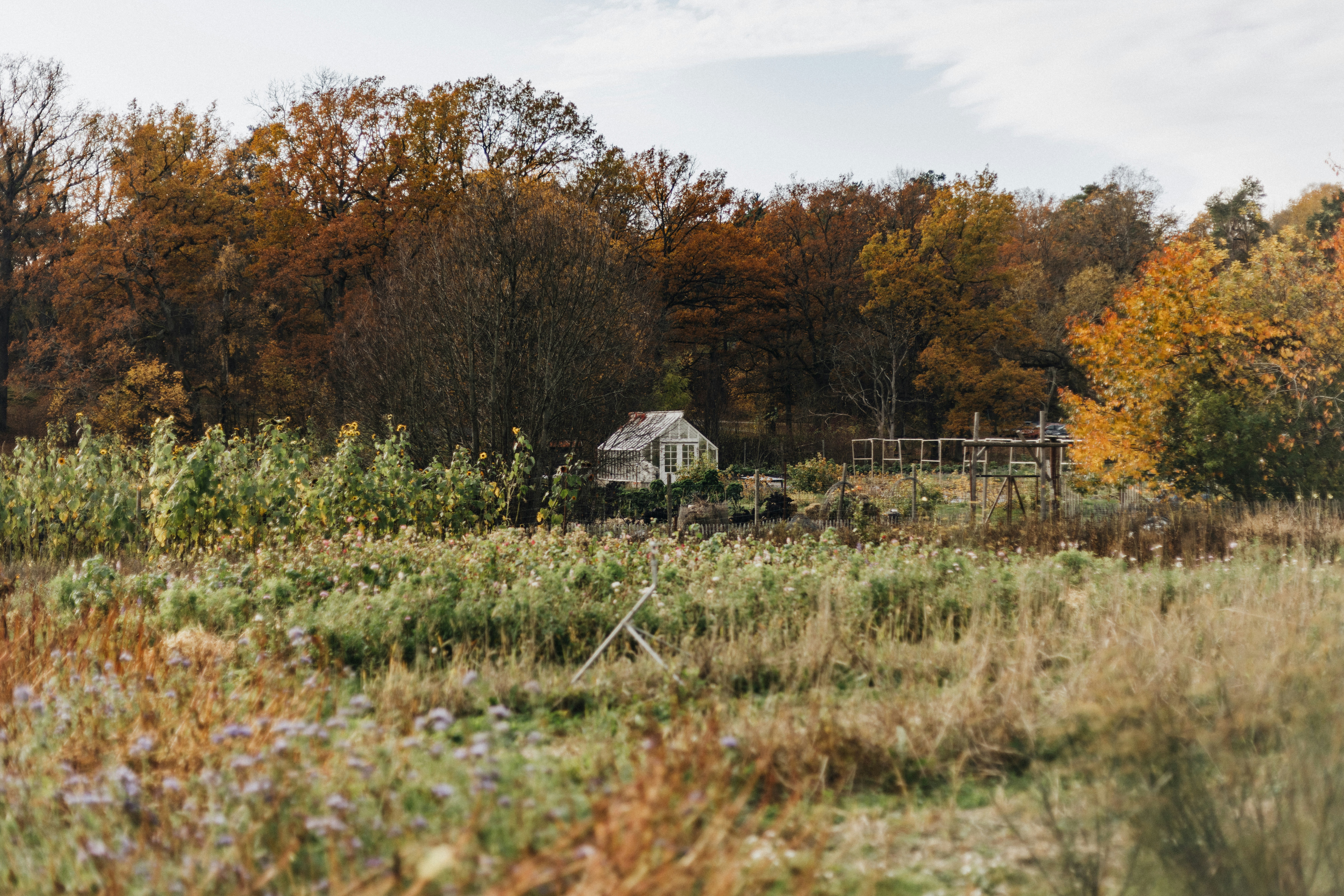 Photo by anniespratt