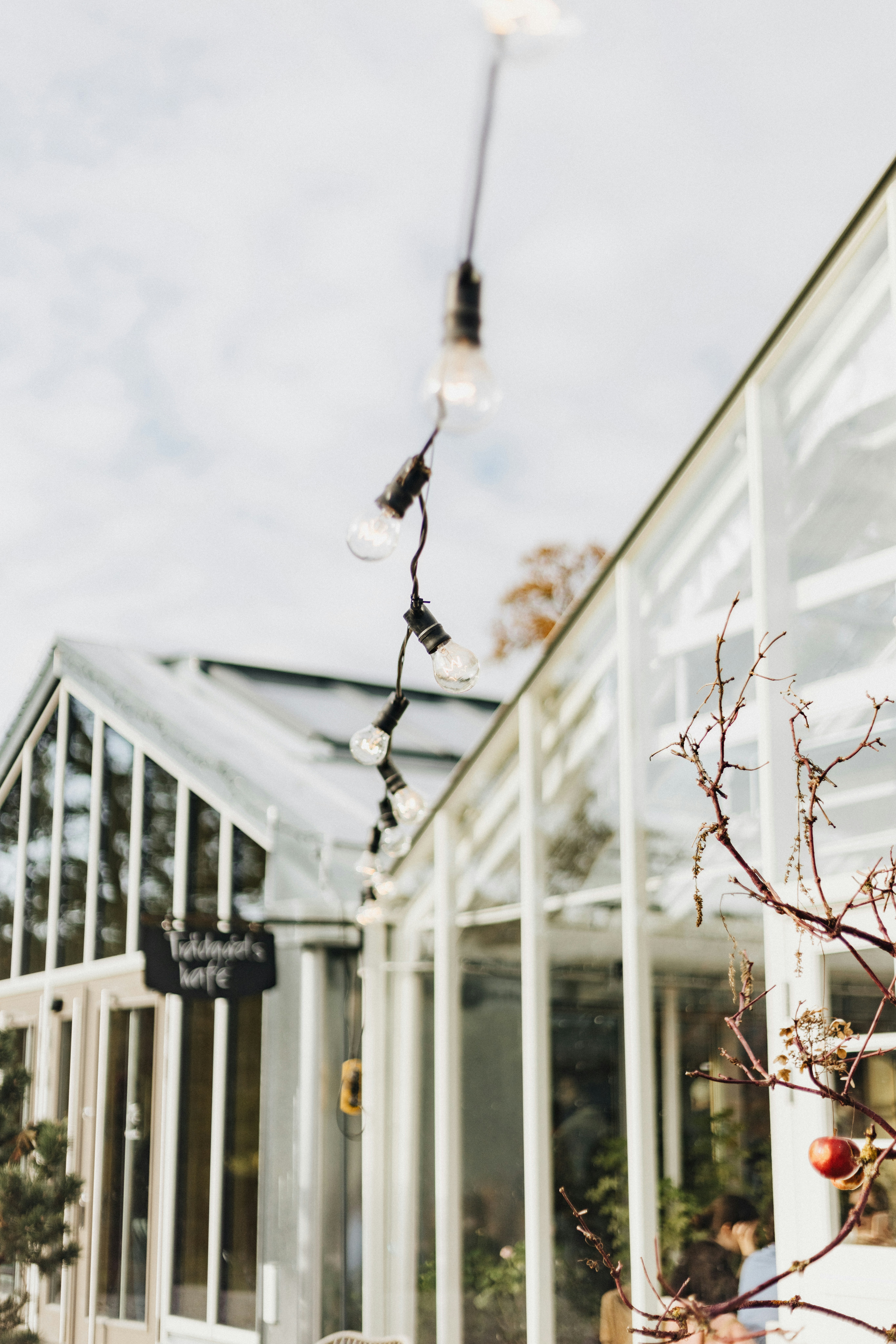 Photo by anniespratt