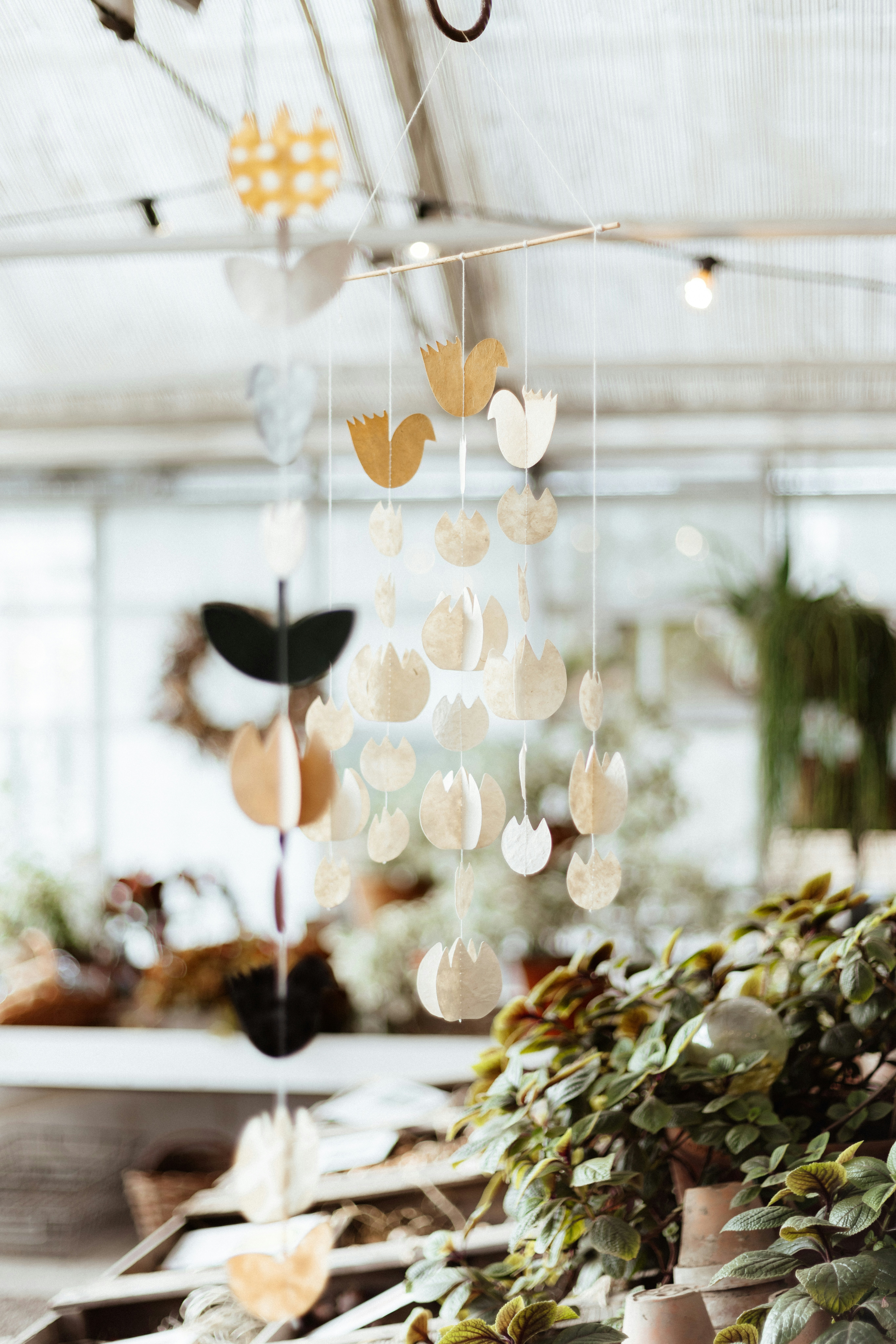 Photo by anniespratt