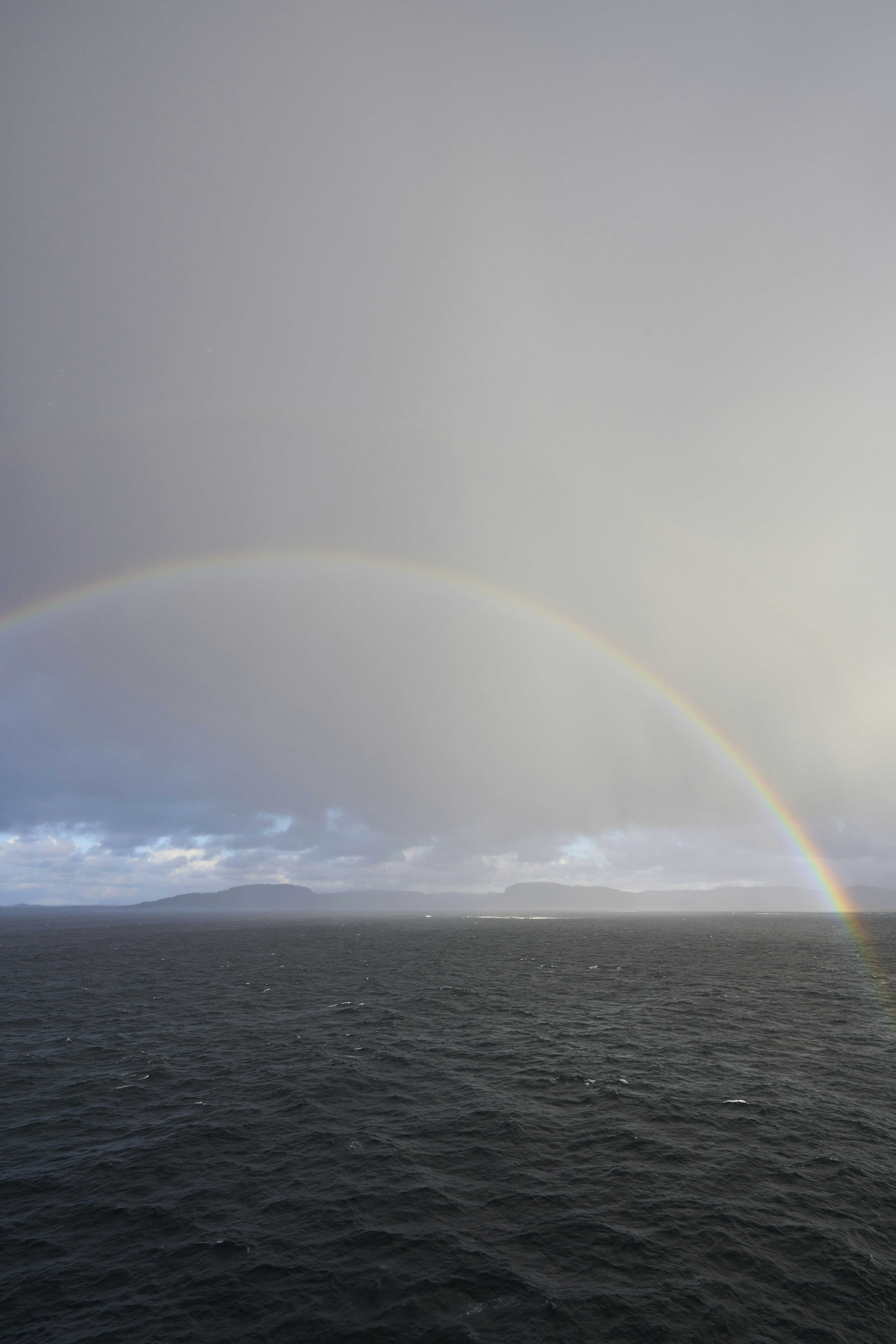 Photo by wolfgang_hasselmann