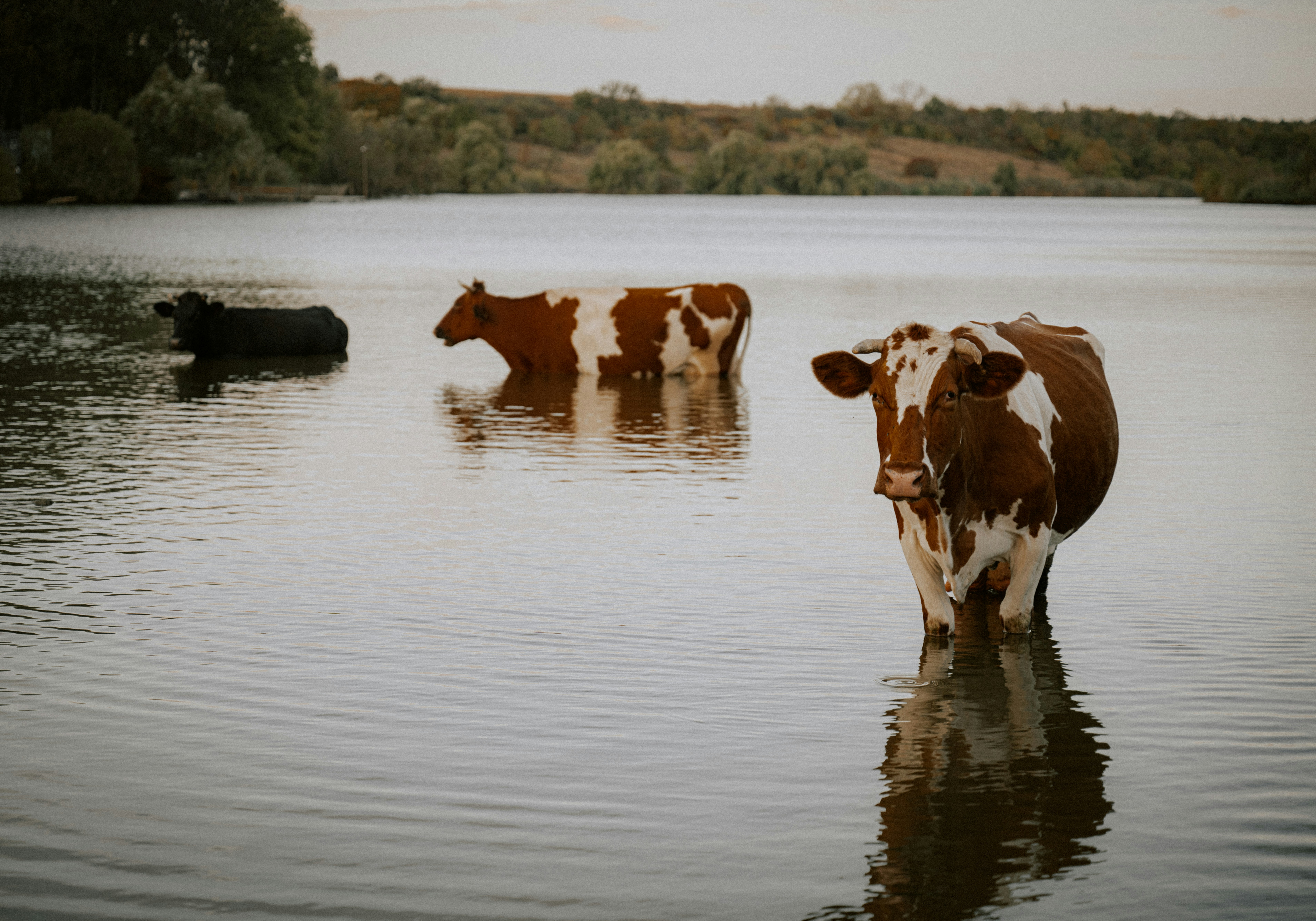 photo-1731414679924-fa9d12e3fa14?q=80&w=3458&auto=format&fit=crop&ixlib=rb-4.1.0&ixid=M3wxMjA3fDB8MHxwaG90by1wYWdlfHx8fGVufDB8fHx8fA%3D%3D