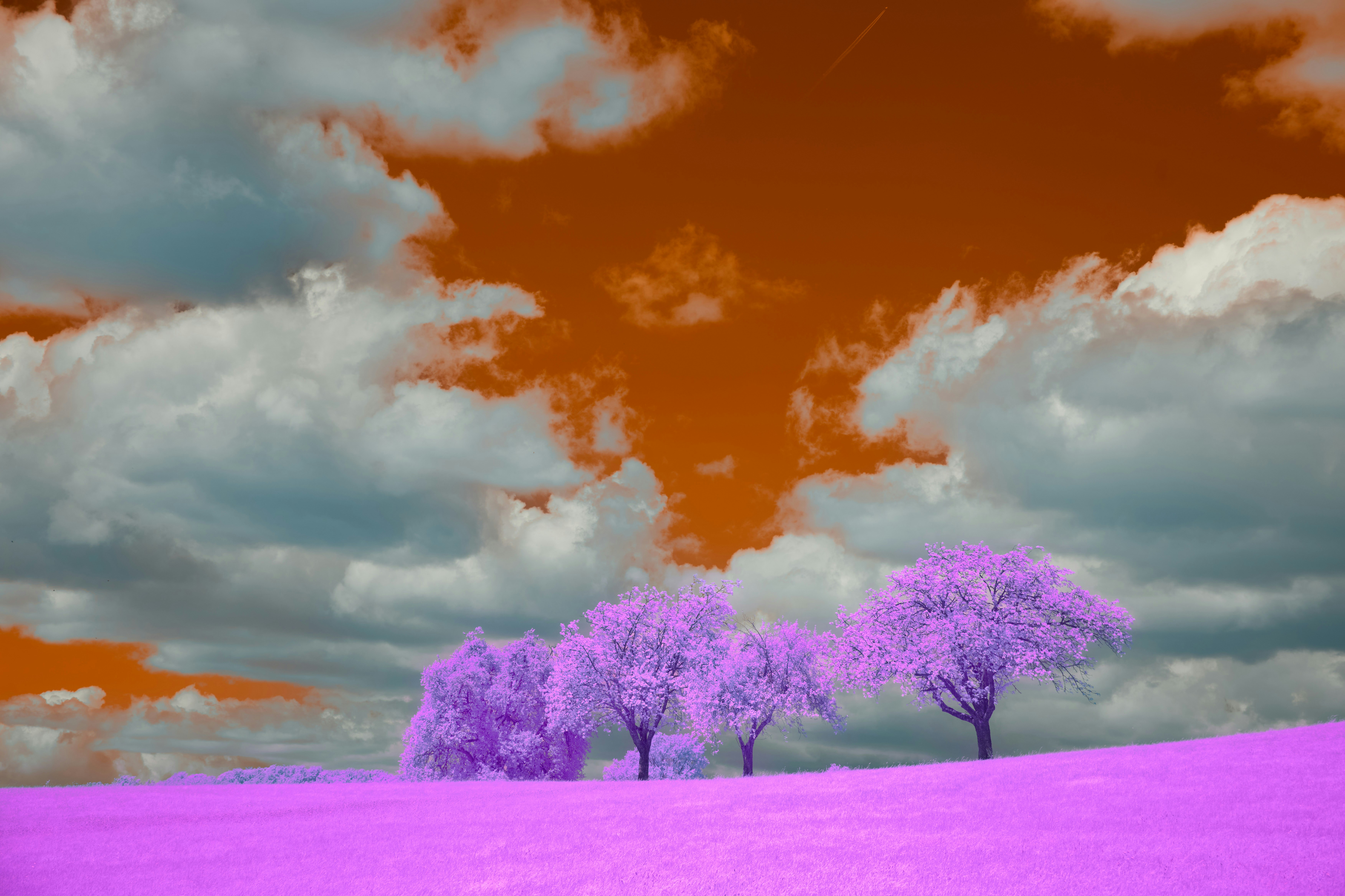 Photo by wolfgang_hasselmann