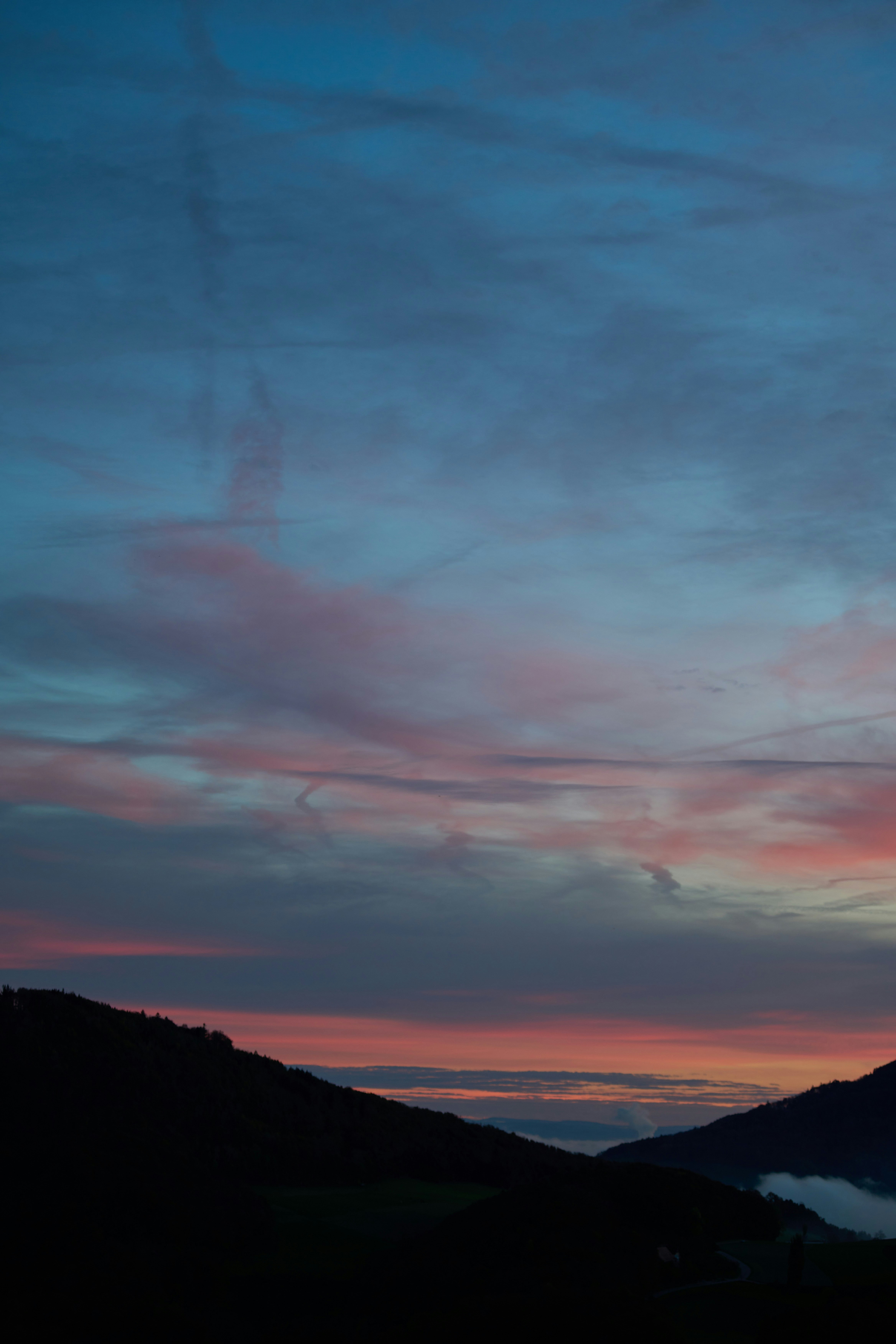 Photo by wolfgang_hasselmann