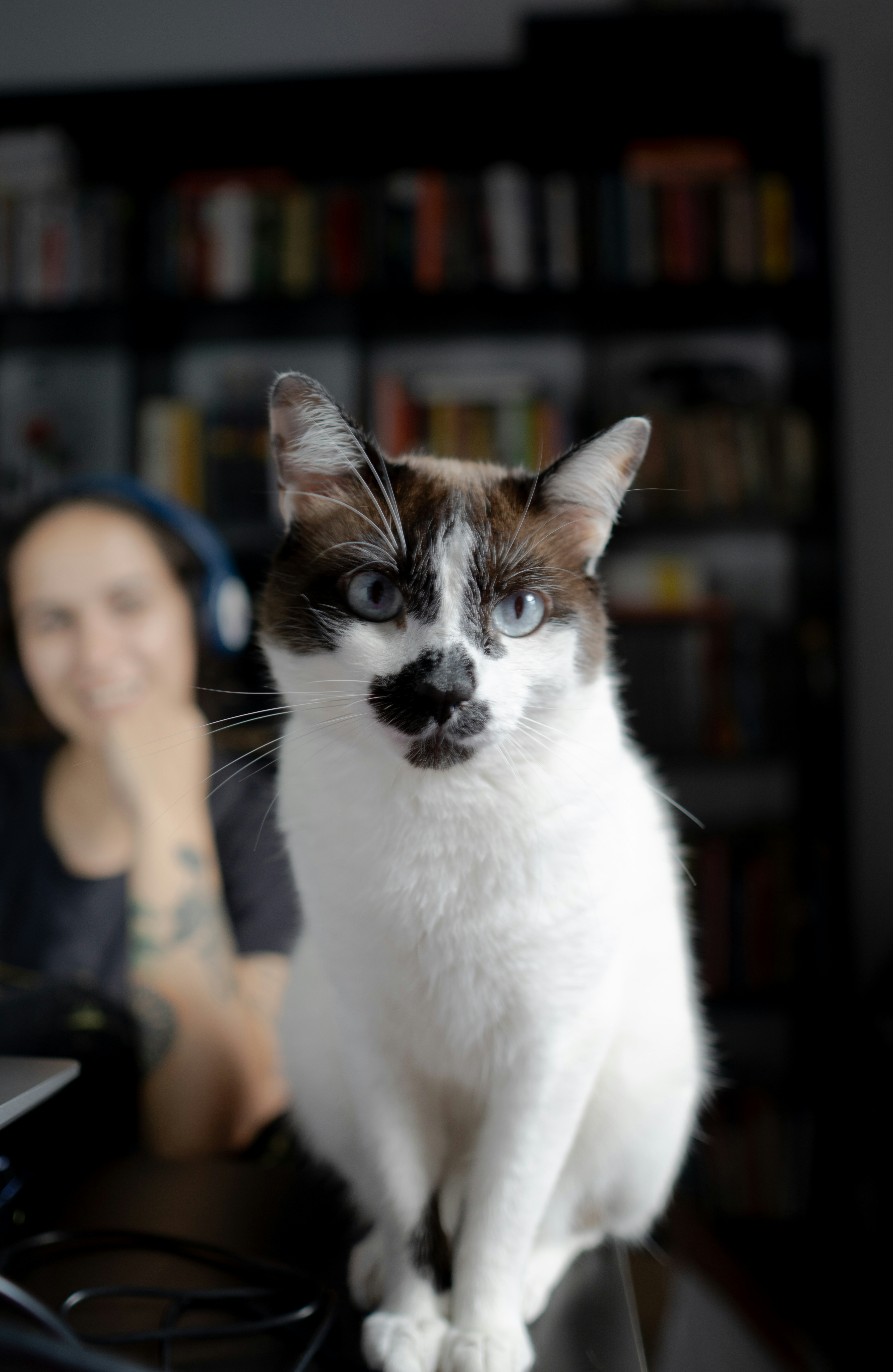 A cat sitting on top of a desk next to a woman
