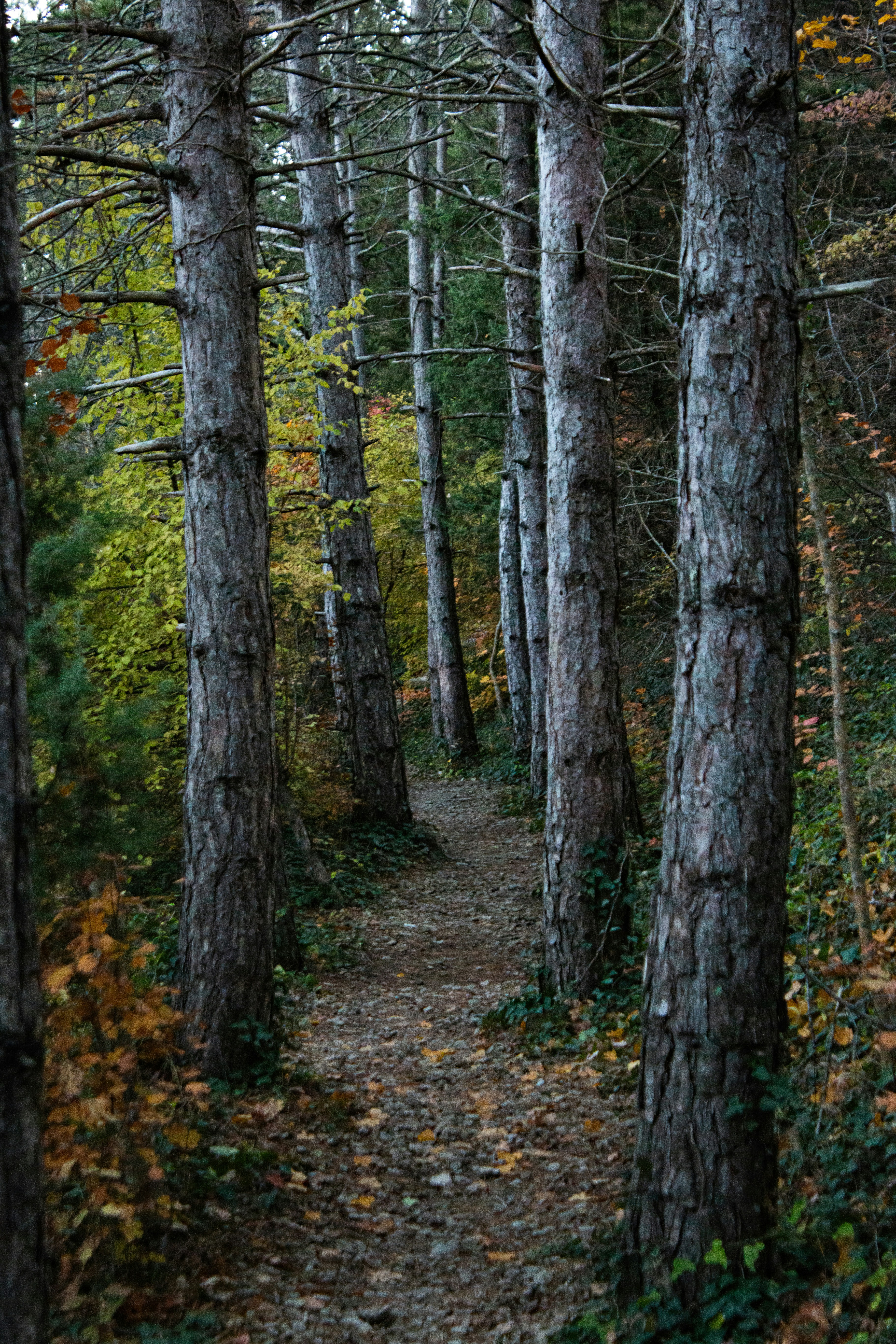 Photo by stepan_konev