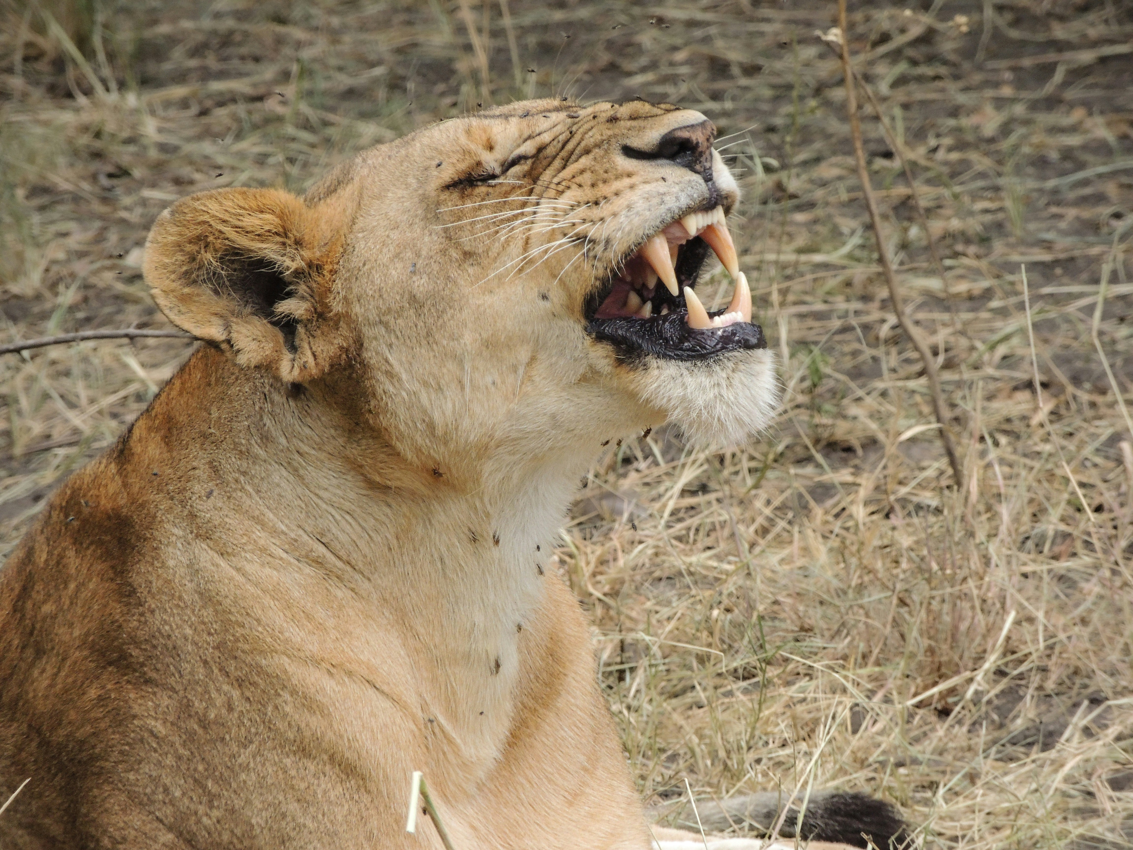 Photo by shashank1978