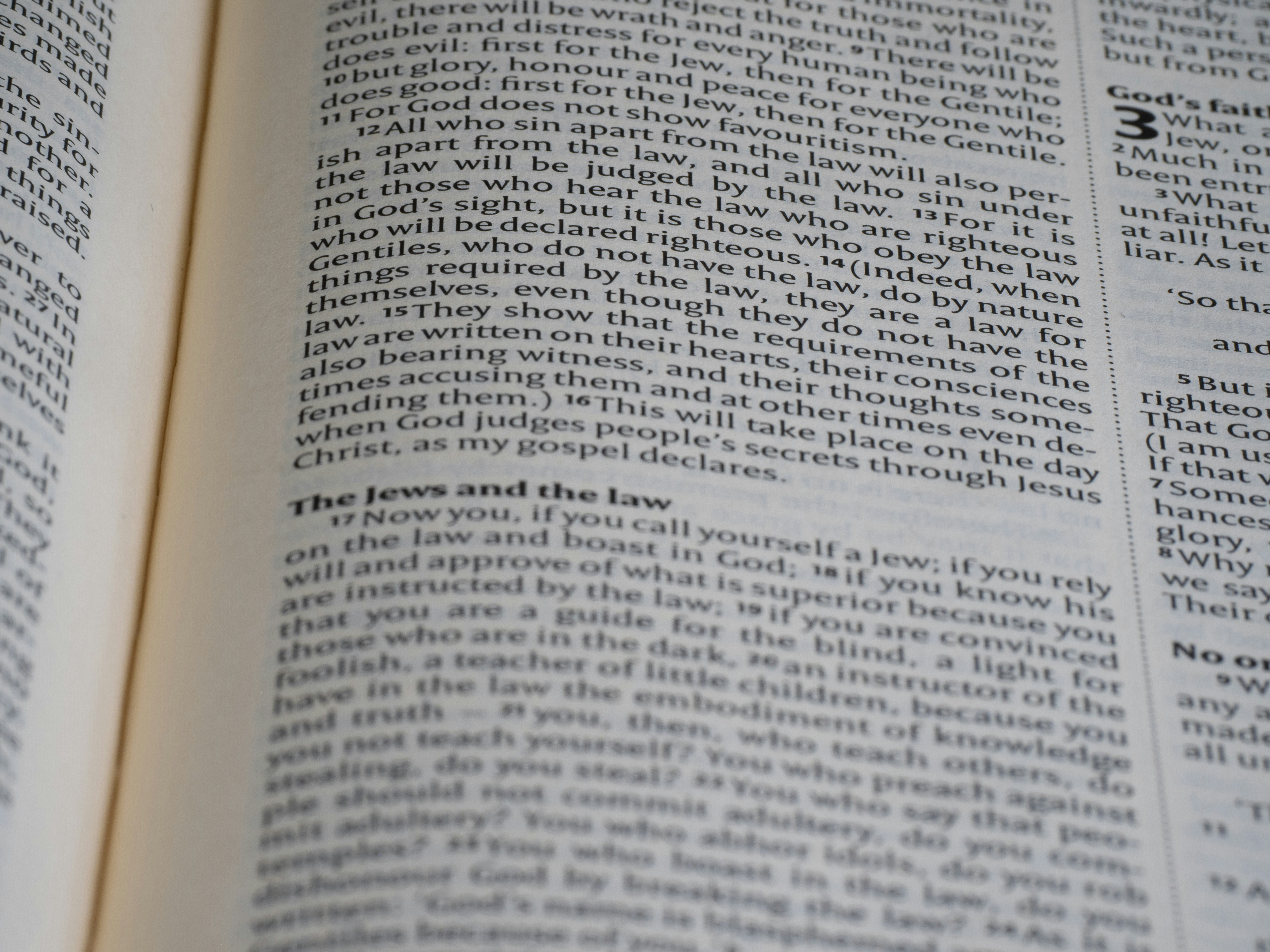 Photo by brett_jordan