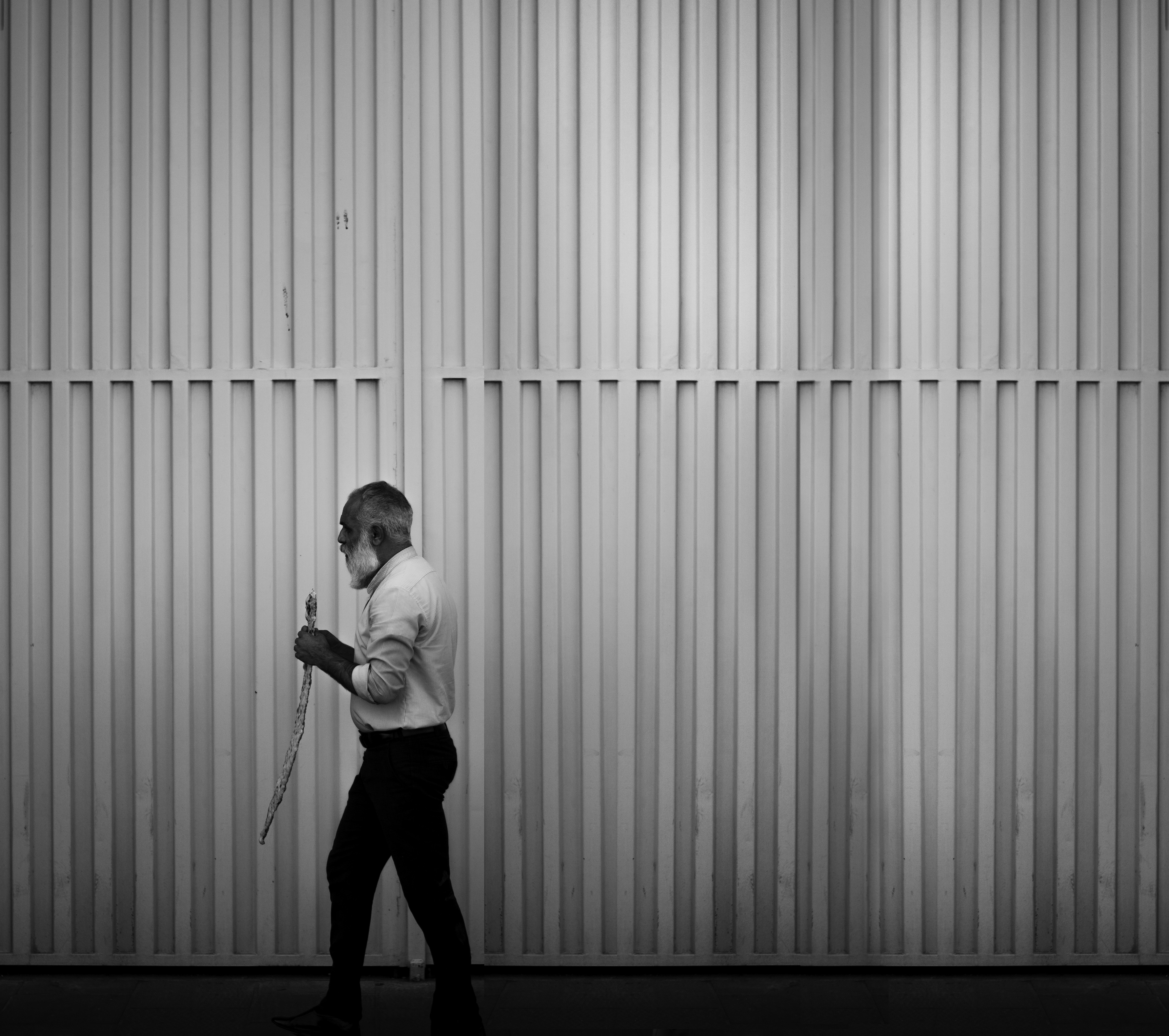 Photo by m_mohammadpour