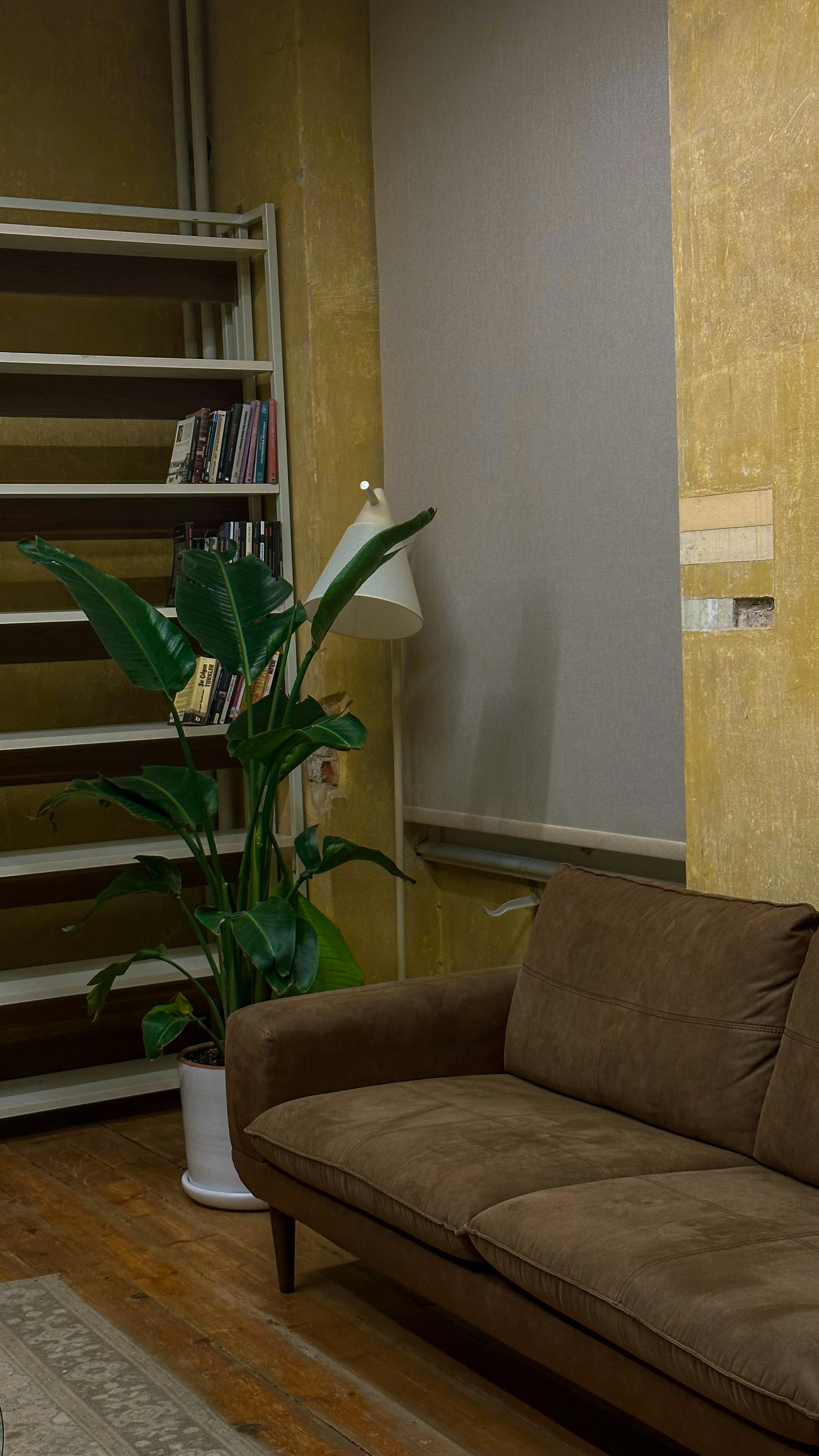 A living room with a brown couch and a book shelf