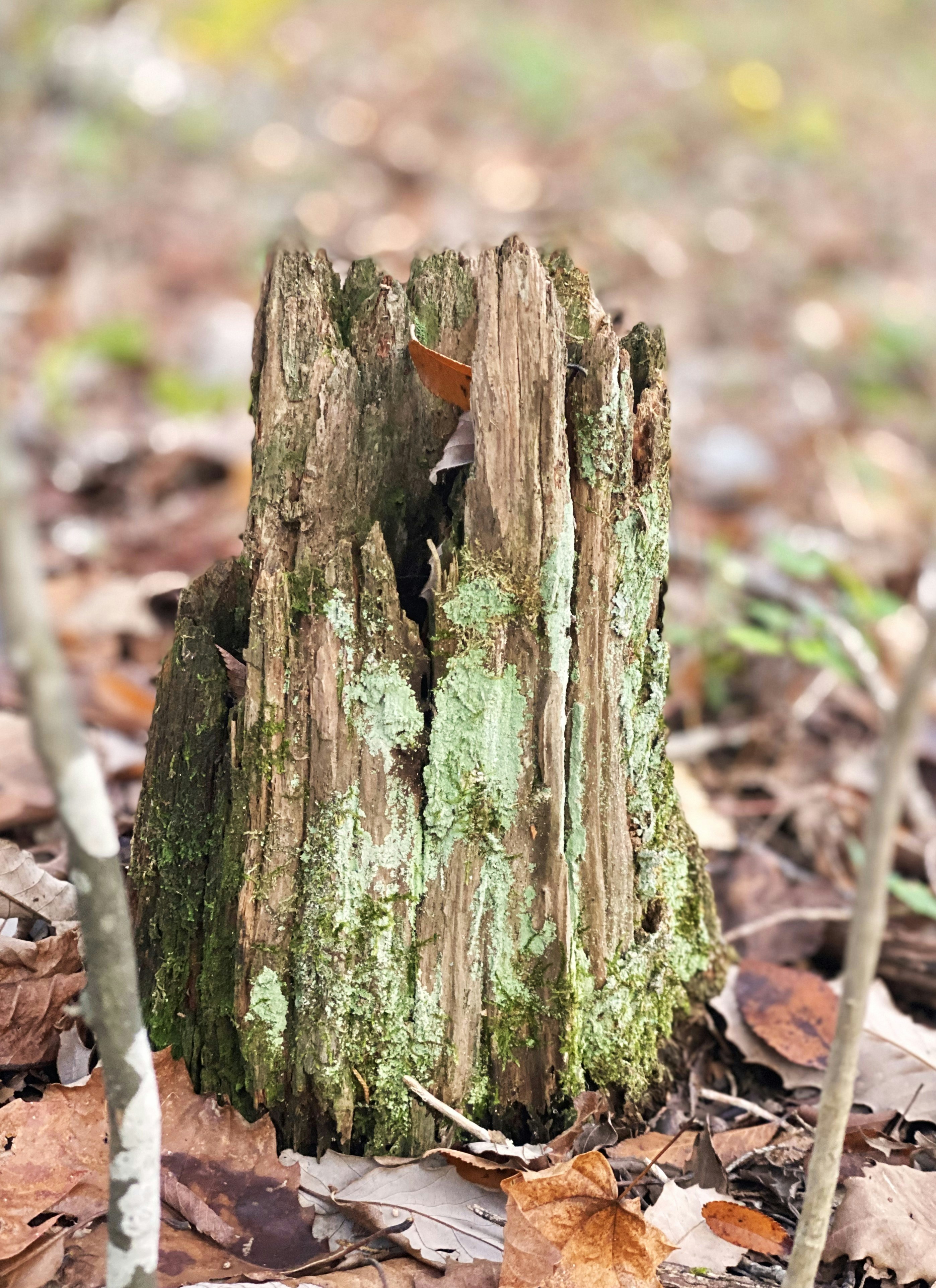 Photo by soulfully_adventurous