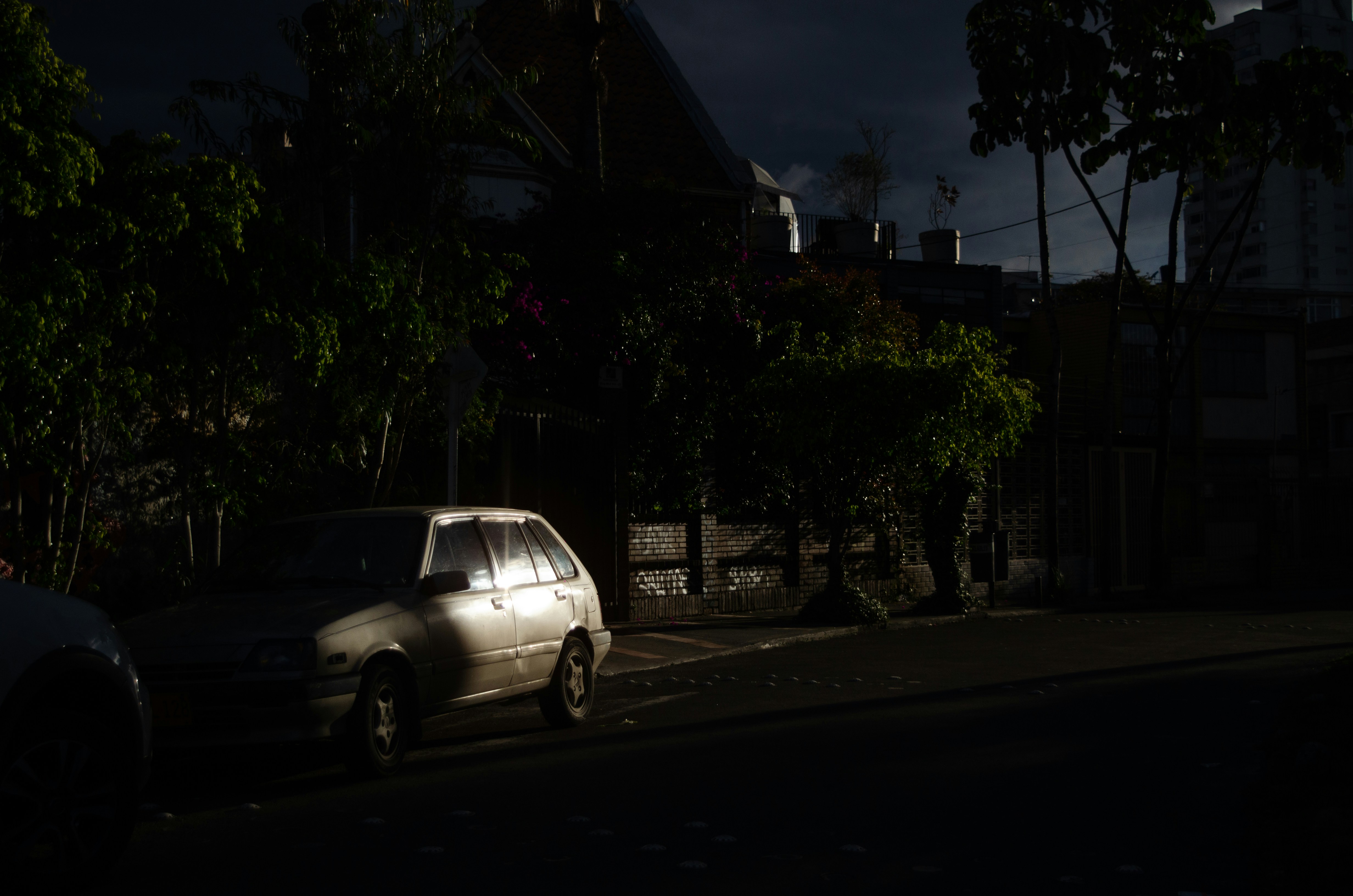 Festival de Cine de Bogotá 2026: Una ventana al cine bogotano y mundial