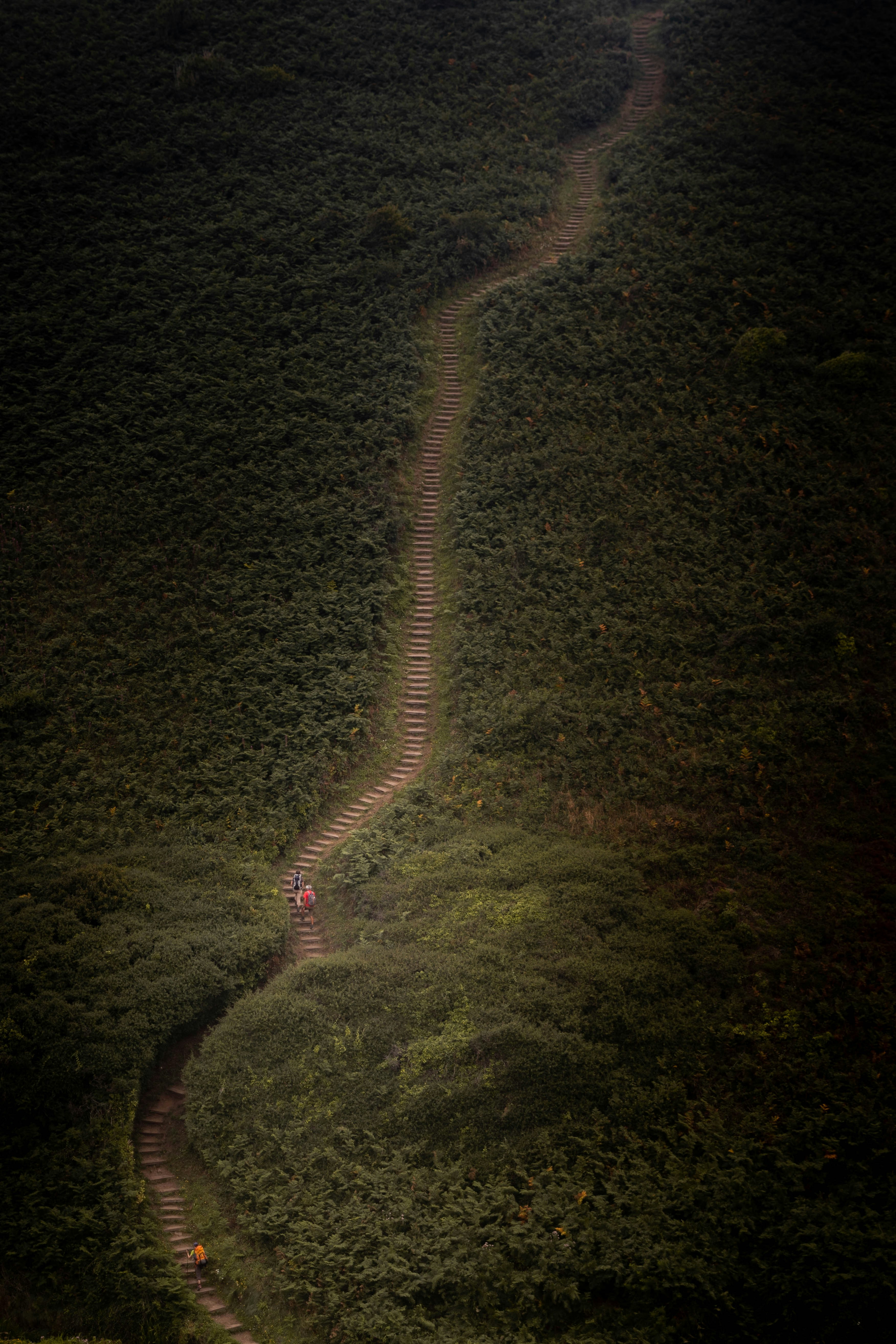A winding road in the middle of a lush green hillside