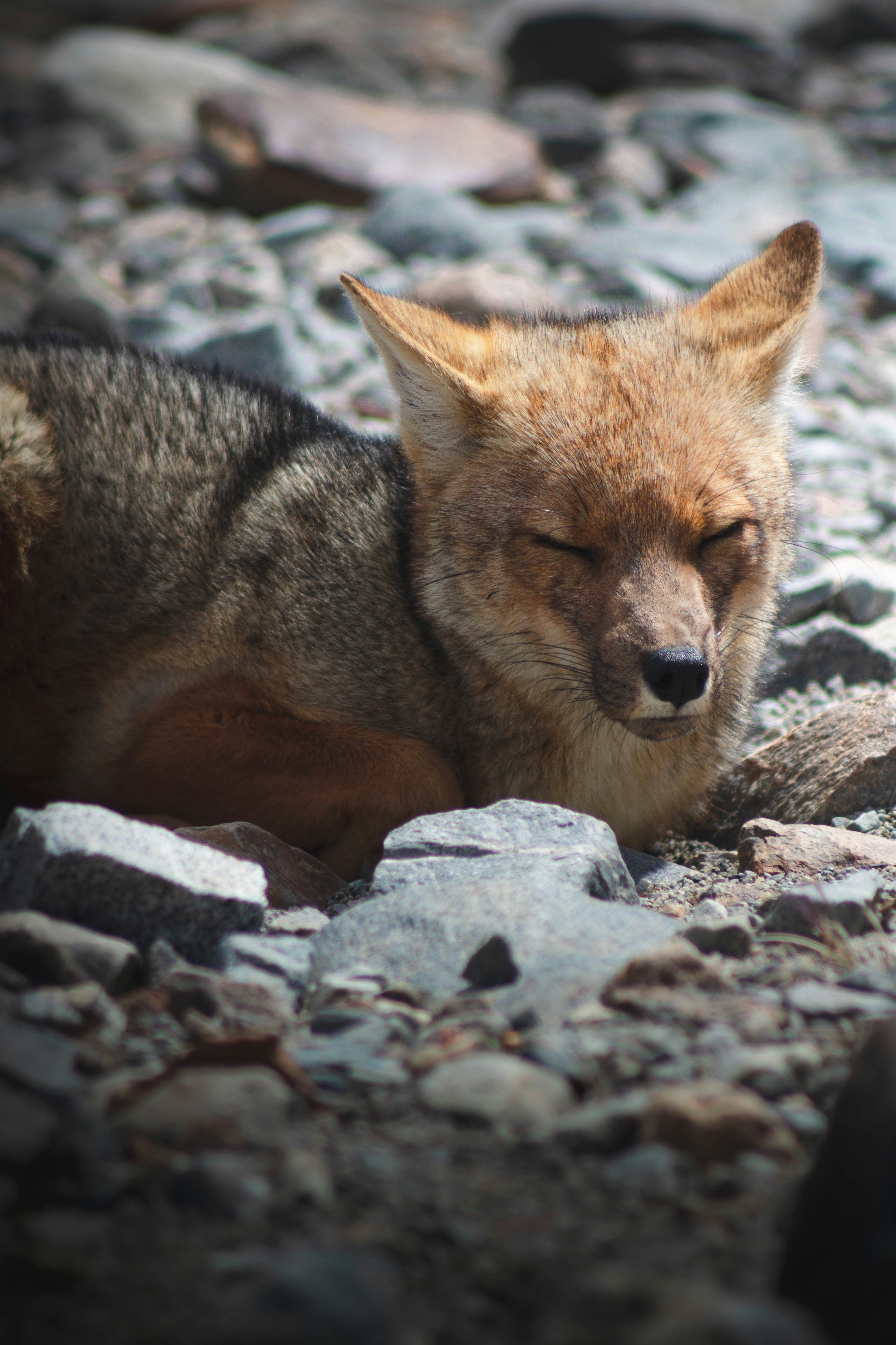 Photo by maxime_cros