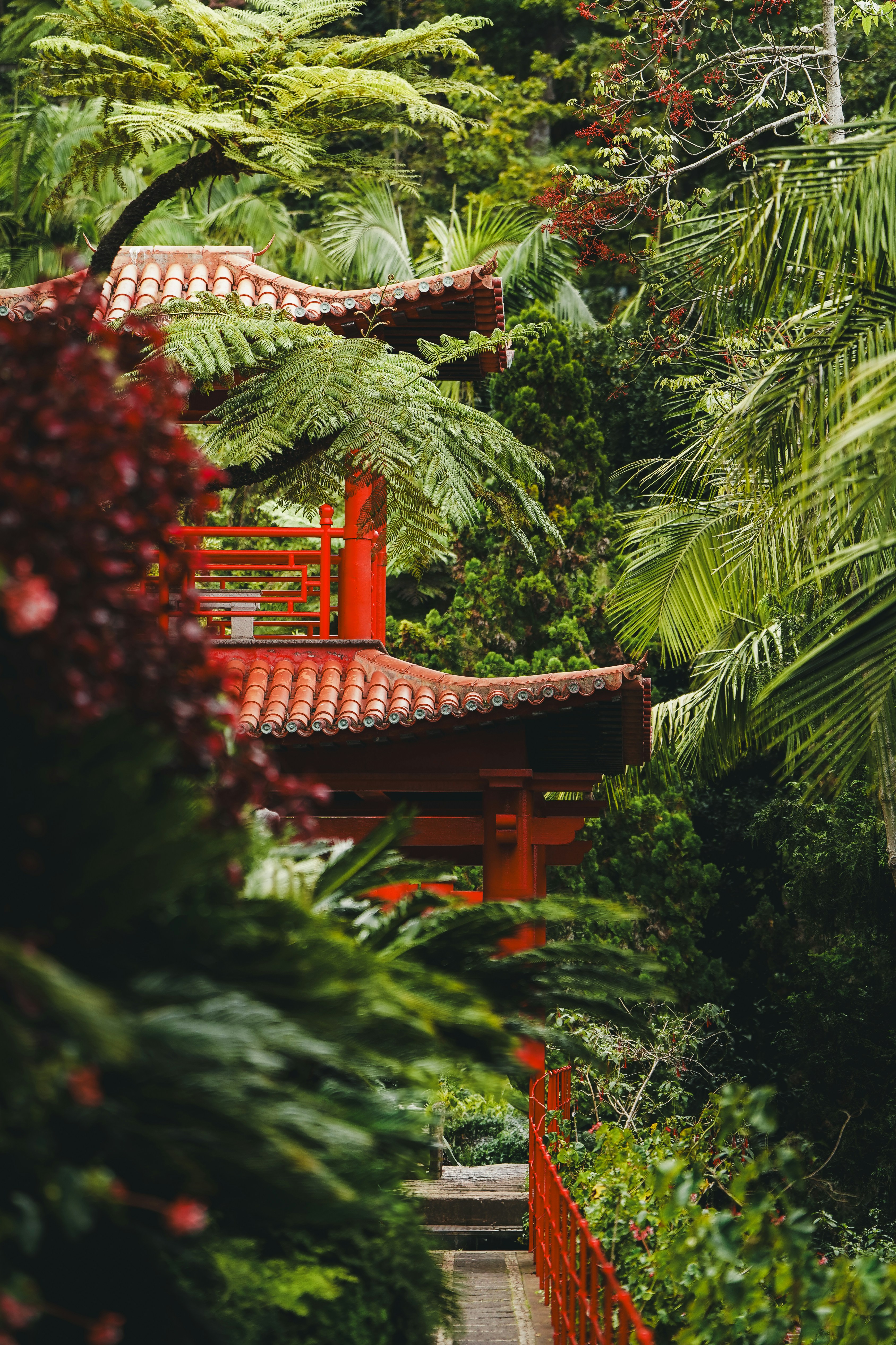 Photo by kevin_charit