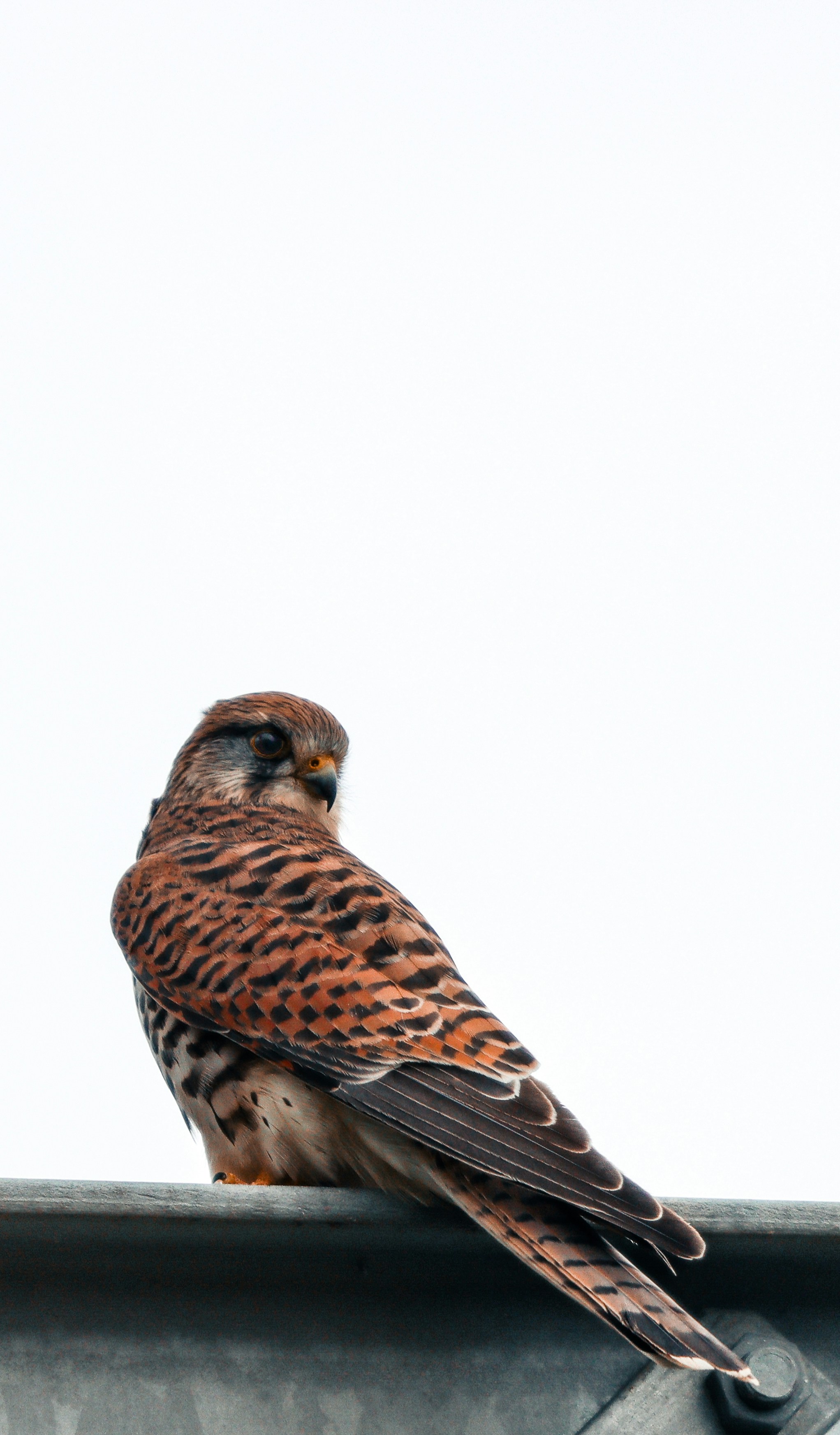 Photo by jasondeanchamberlain