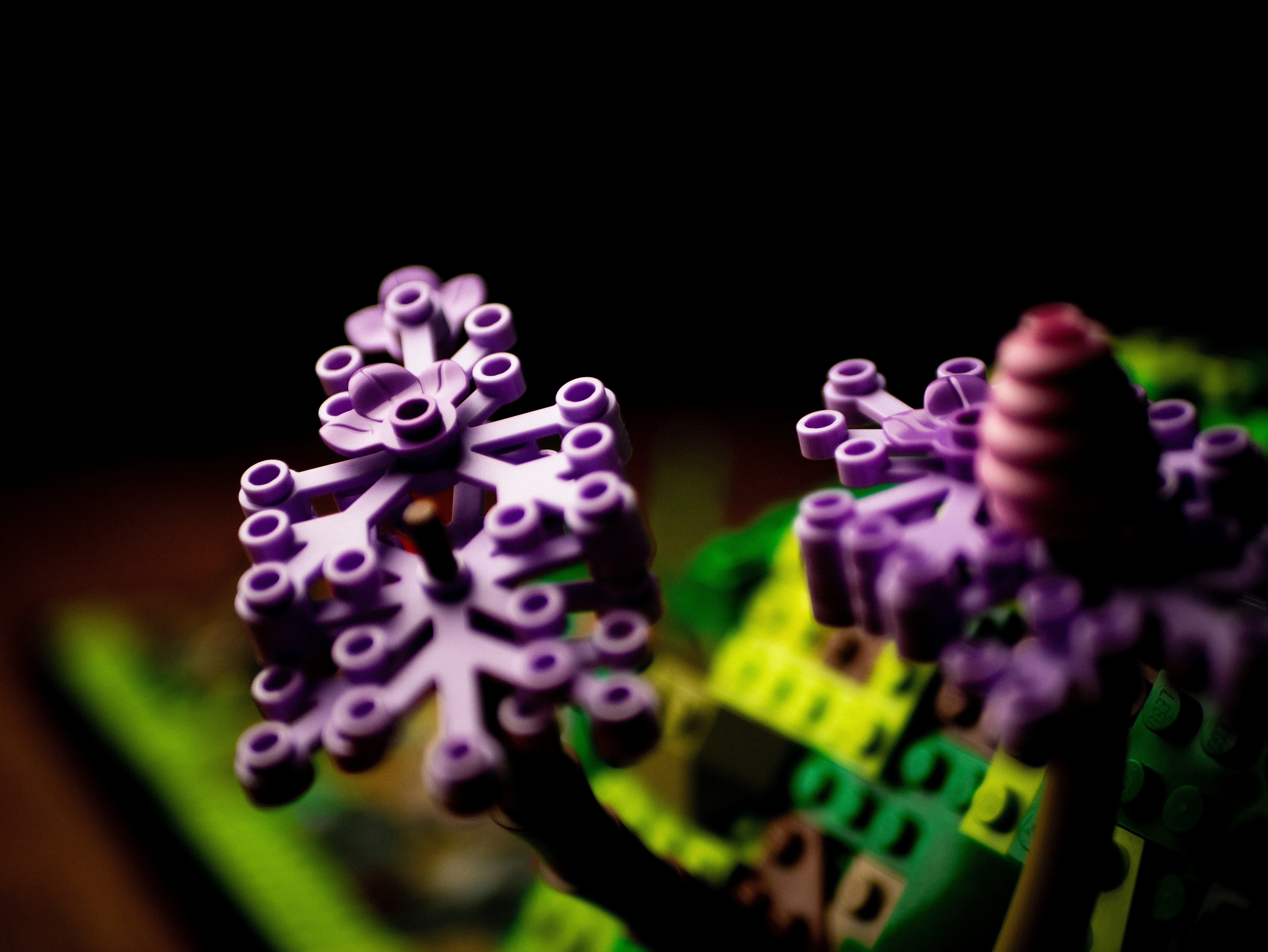 A close up of a purple flower on a table
