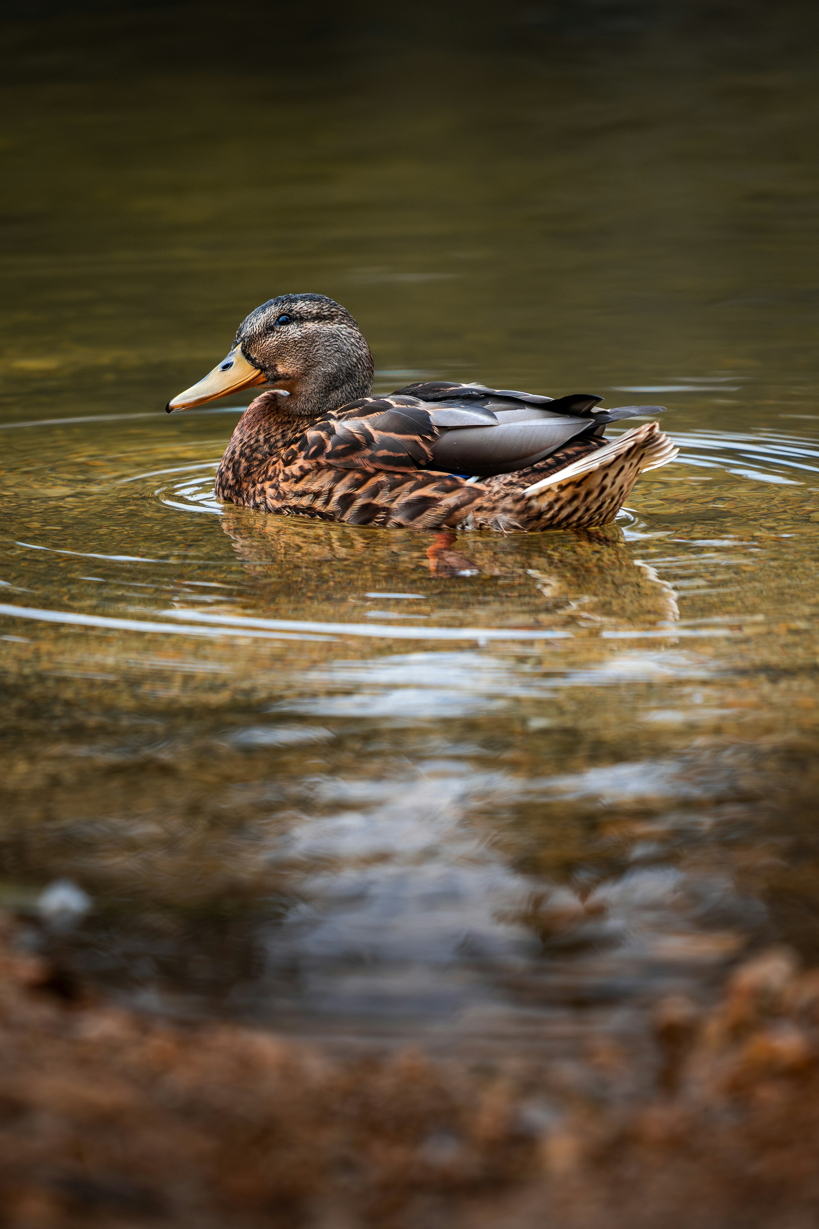 Photo by beckerworks