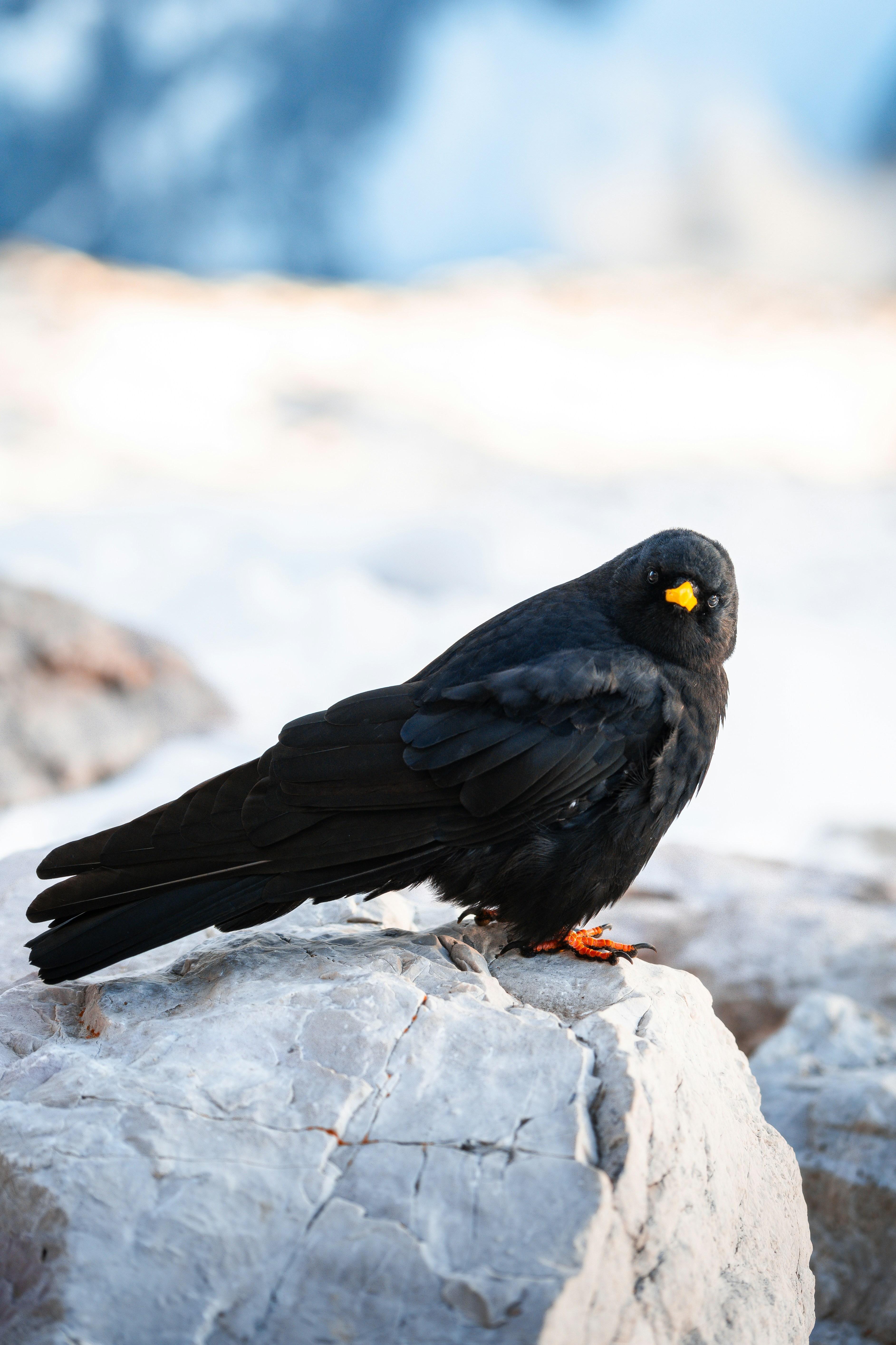 Photo by beckerworks