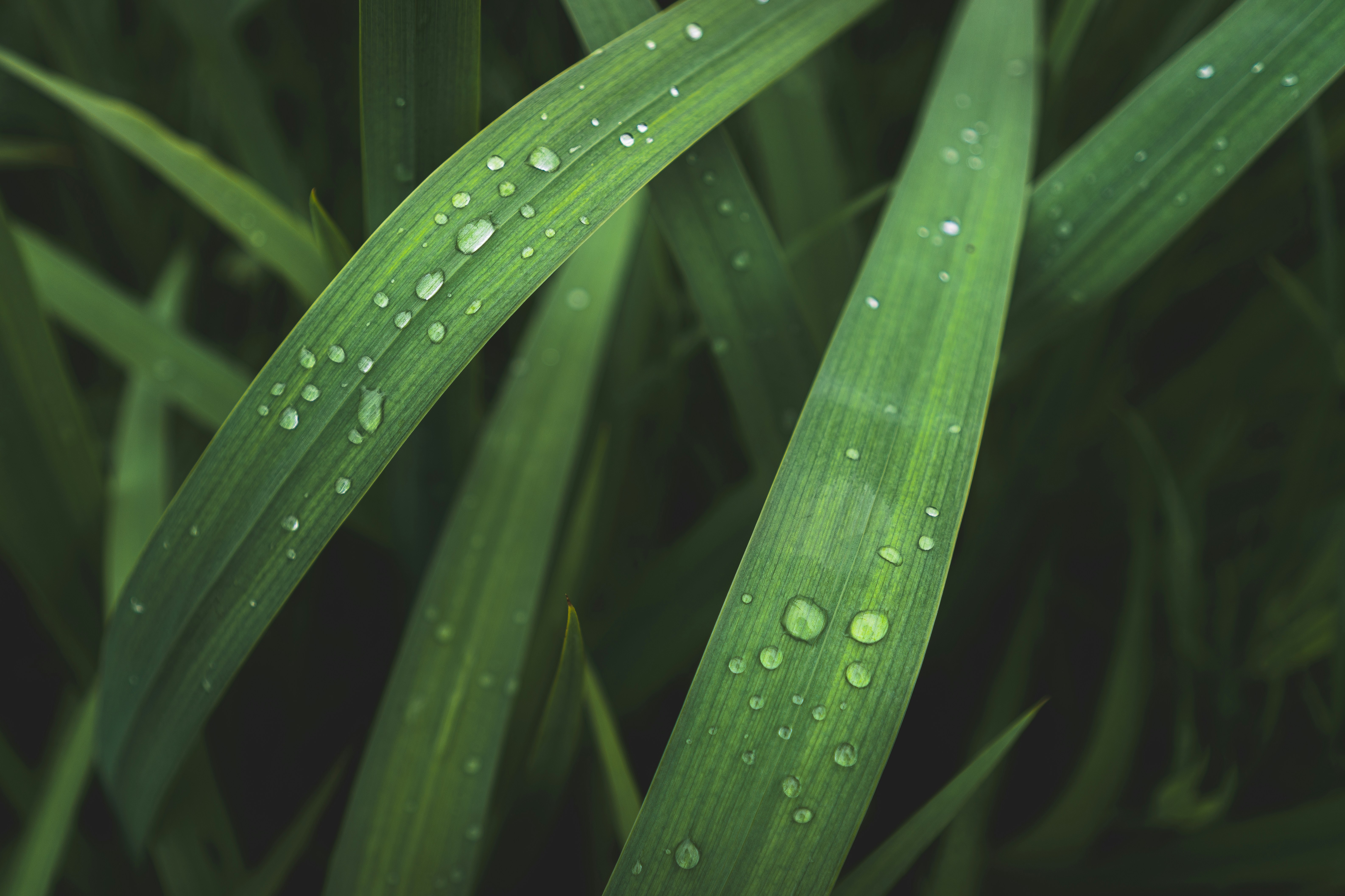 Photo by beckerworks