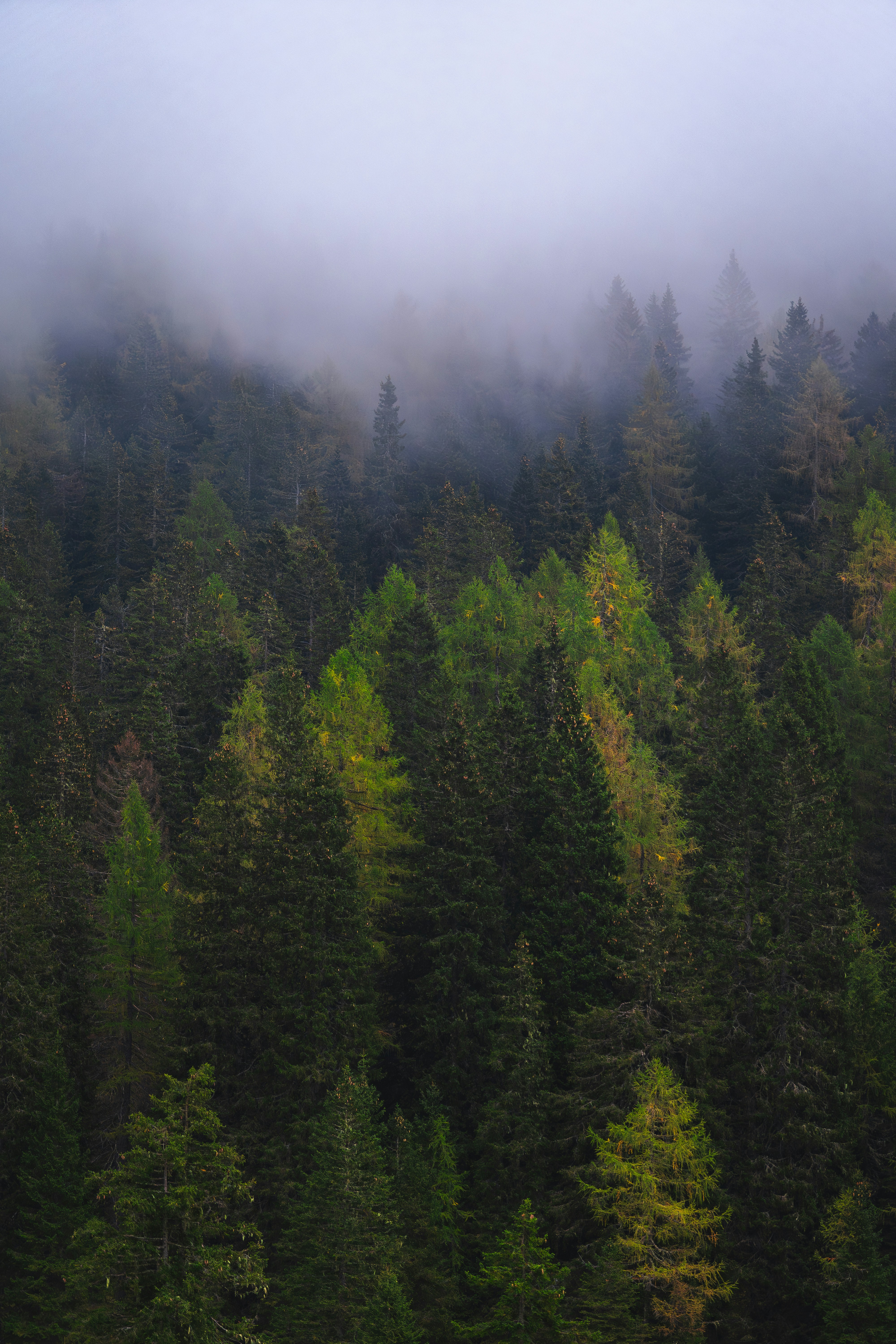 Photo by beckerworks