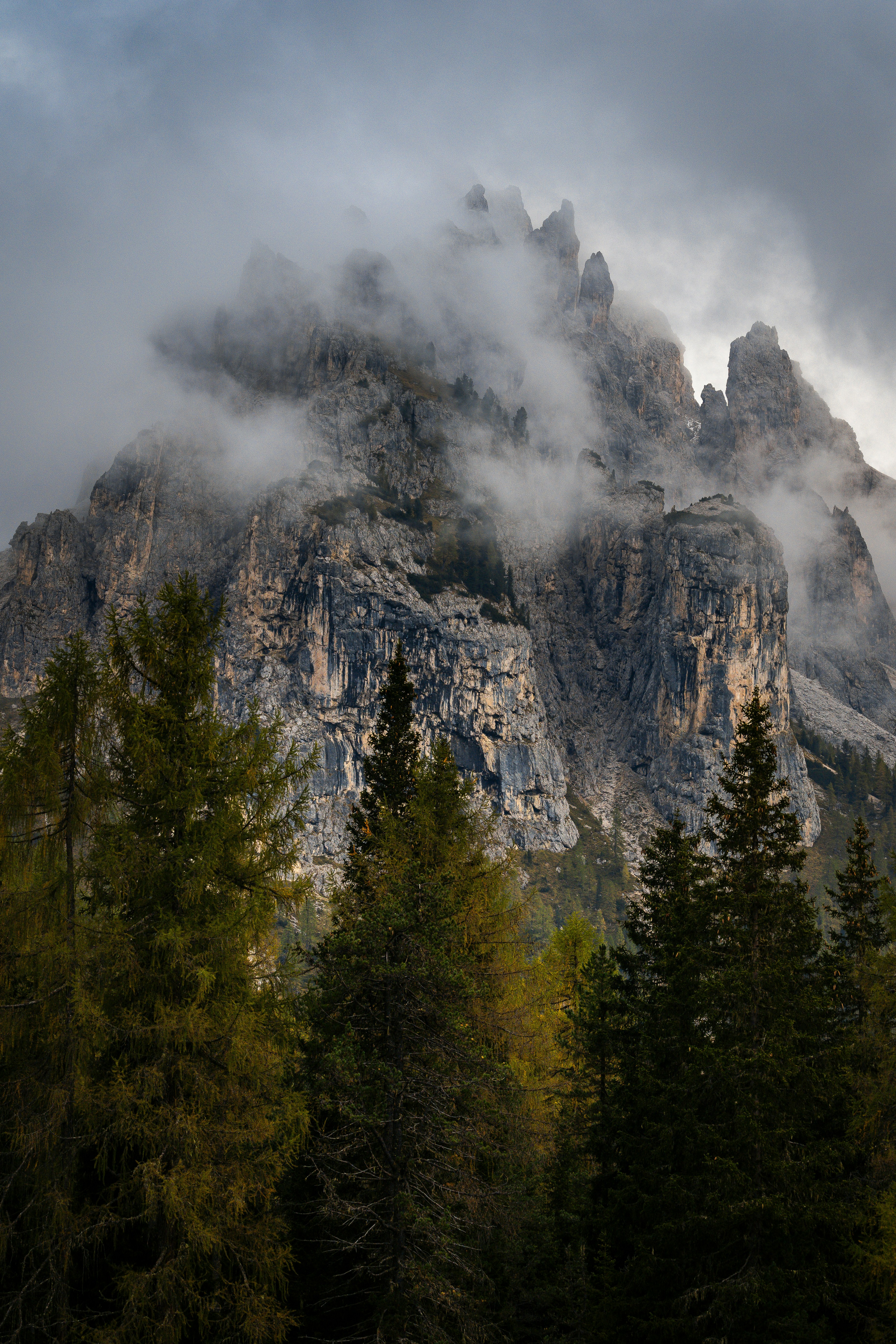 Photo by beckerworks